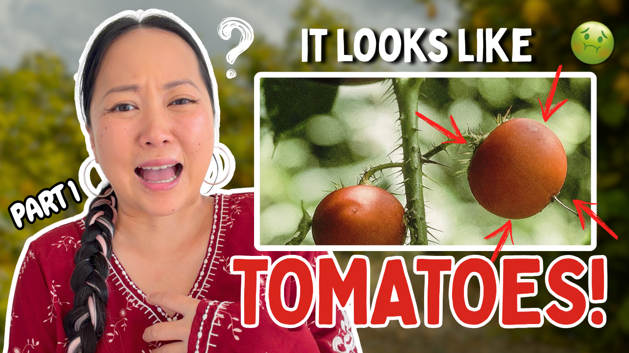 How I almost killed myself eating wild fruit | part 1