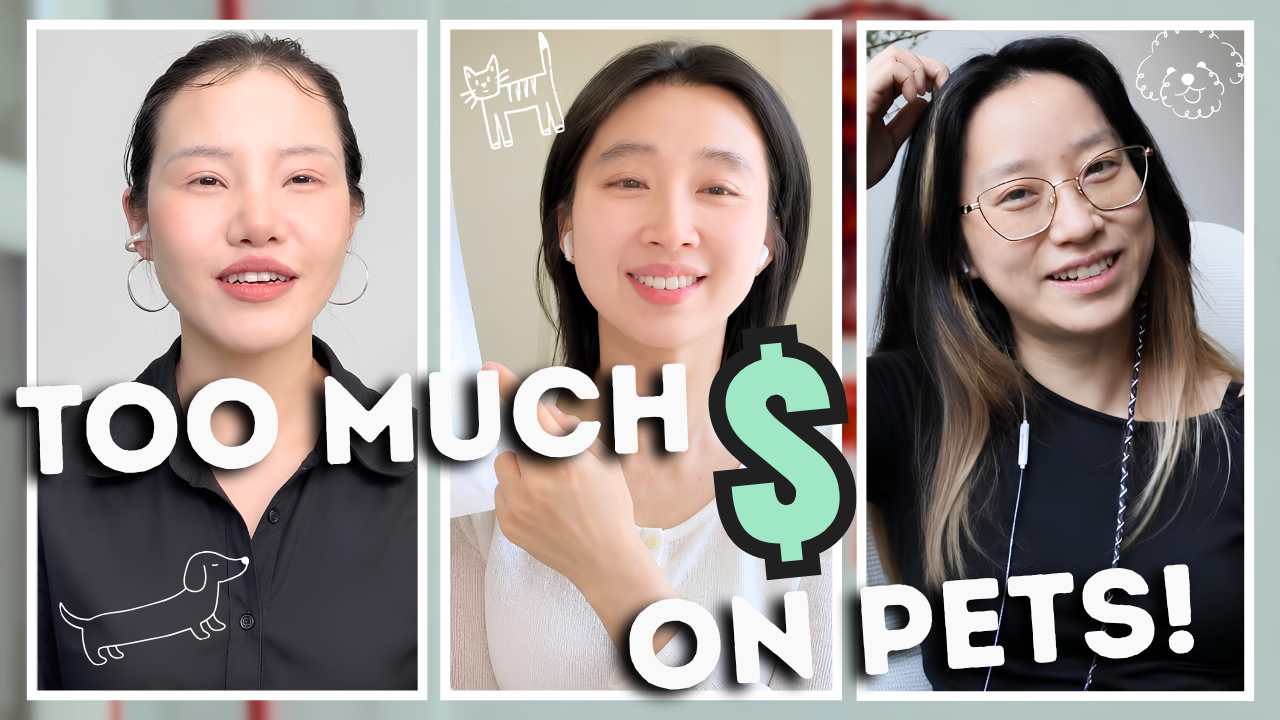 Let's talk about pet economy in China