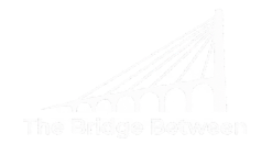 The Bridge Between