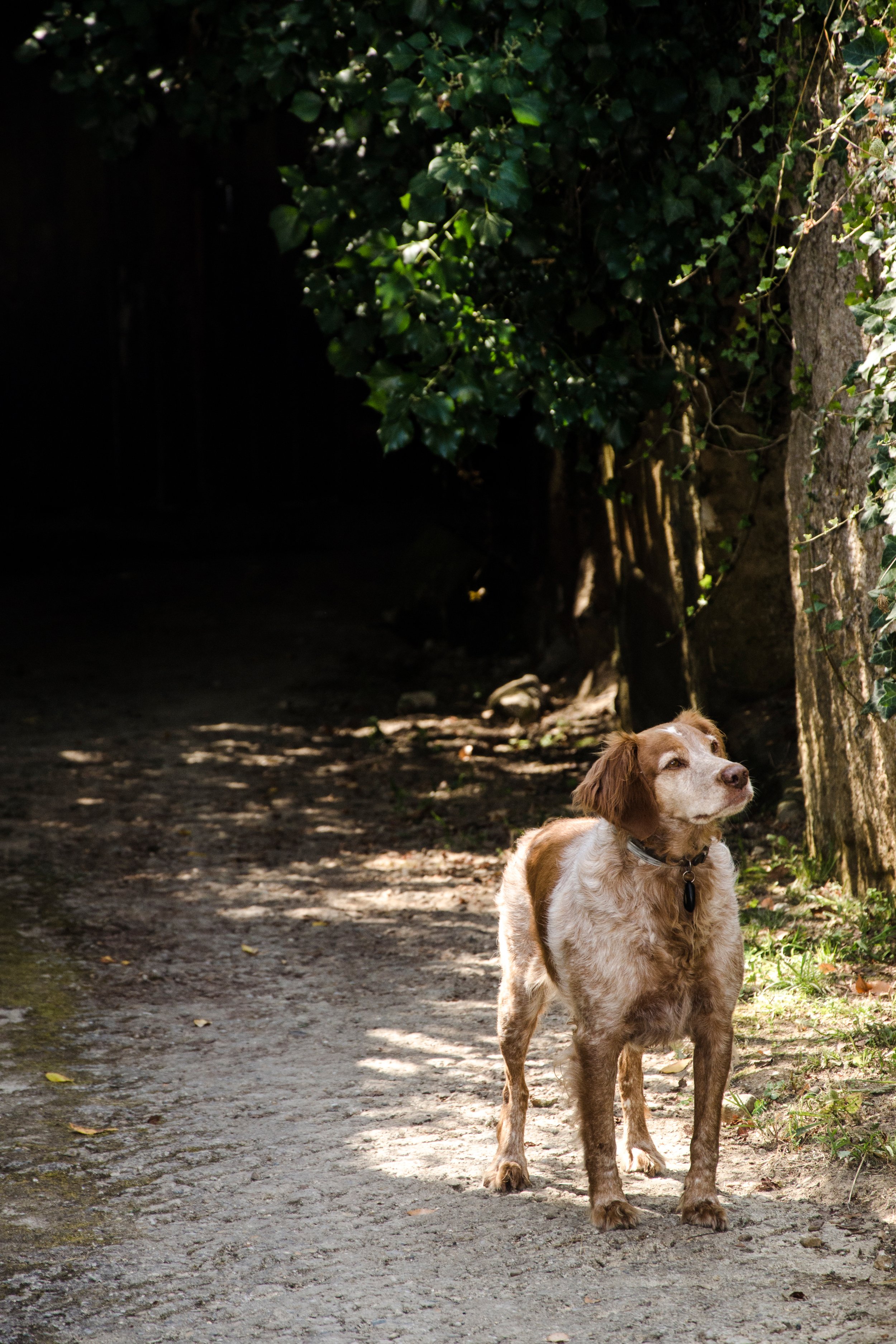 DSC_3567edit copy.jpg