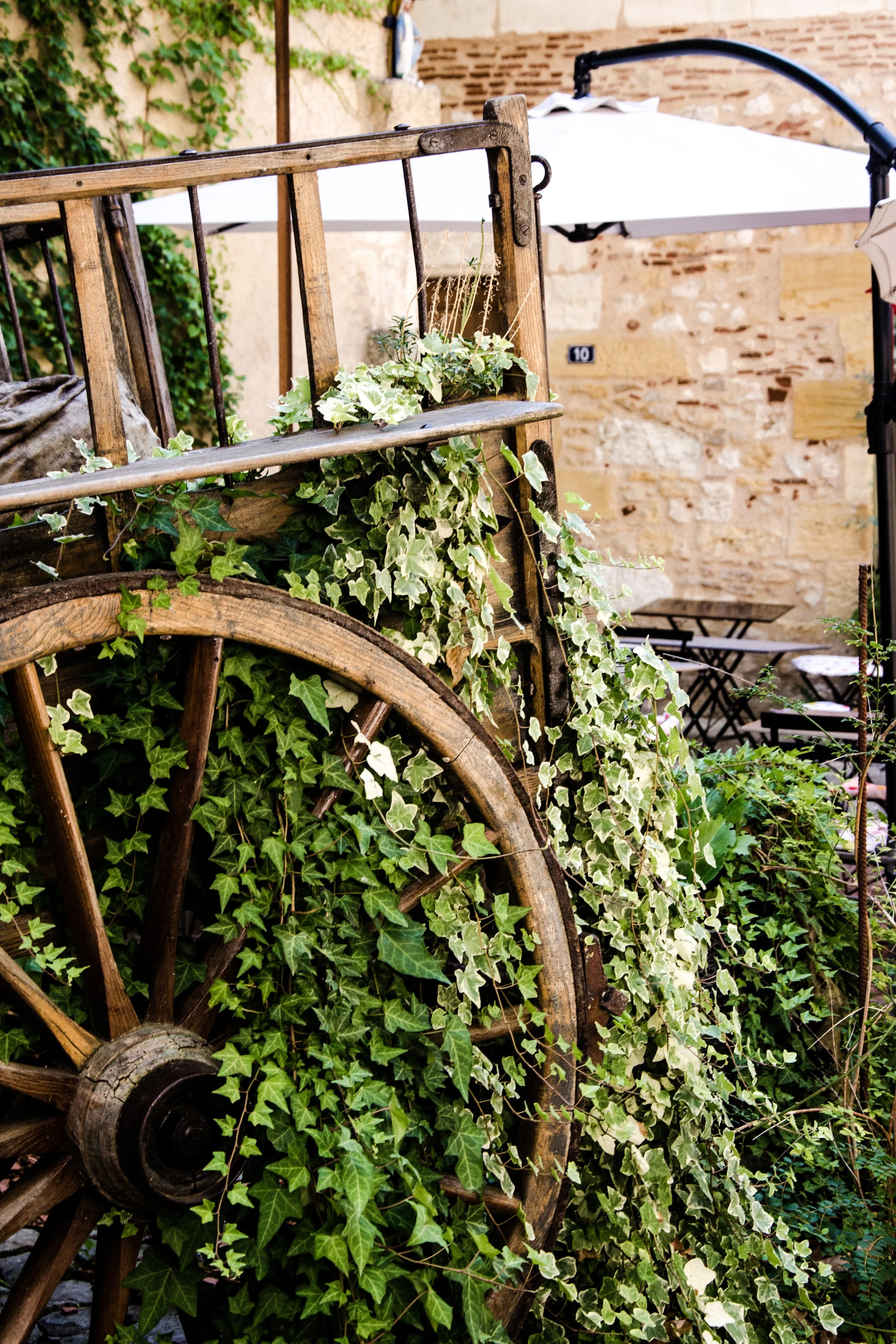 DSC_3450edit copy.jpg