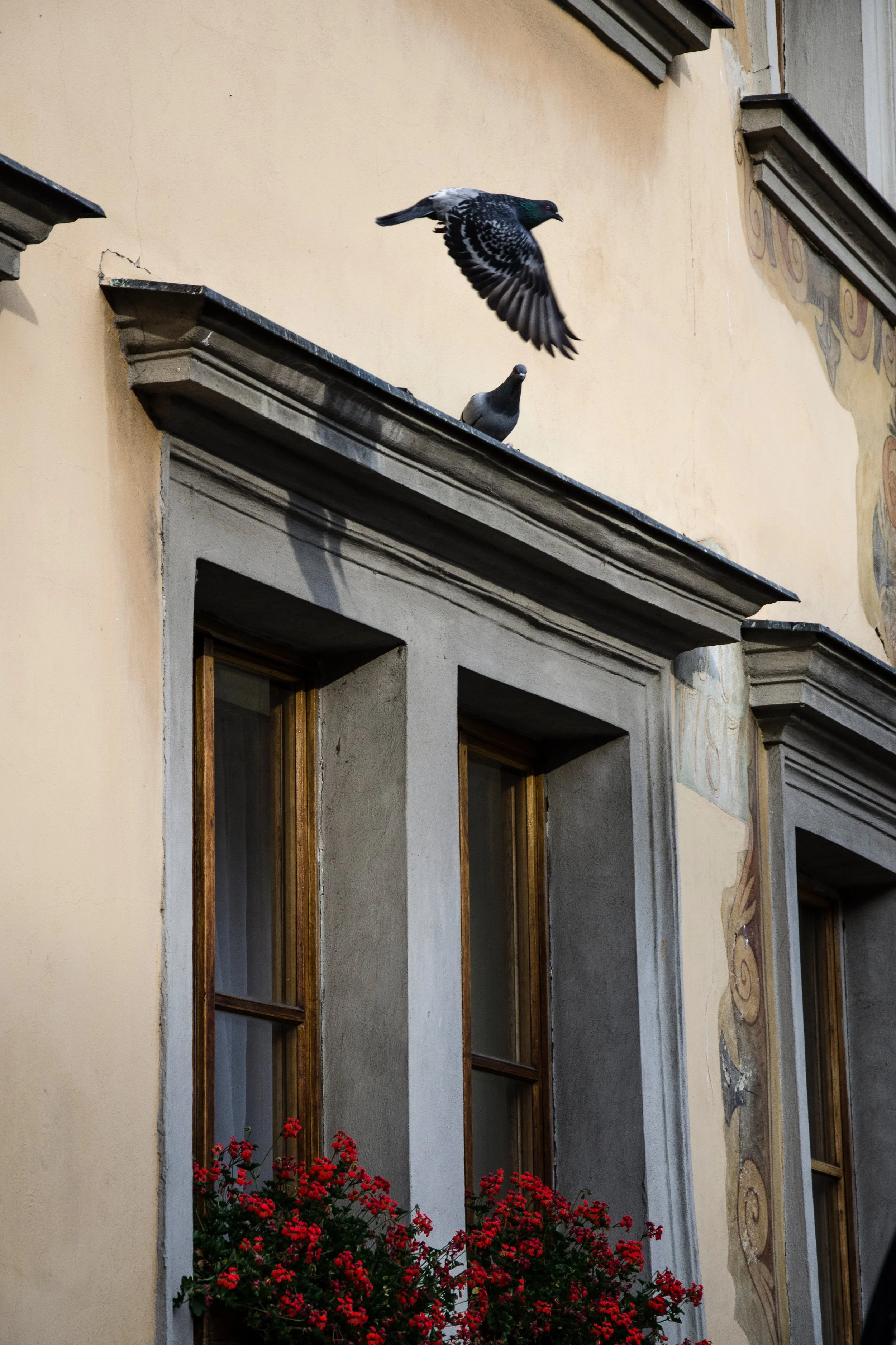 DSC_4403 edit 1 copy.jpg