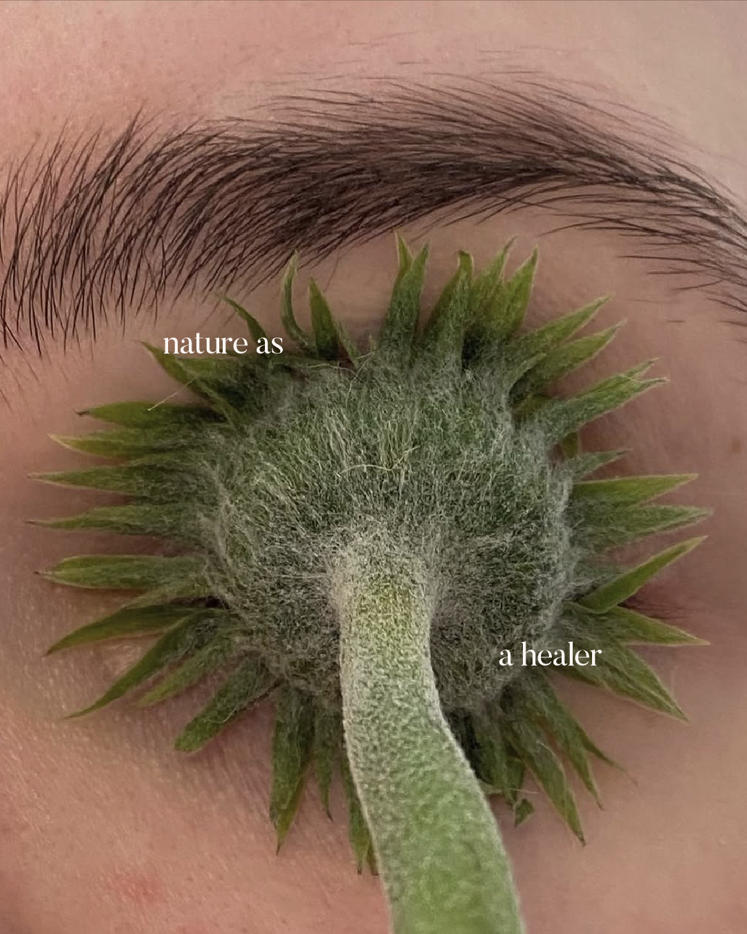 Sunflower covering an eye, quote "nature as a healer"