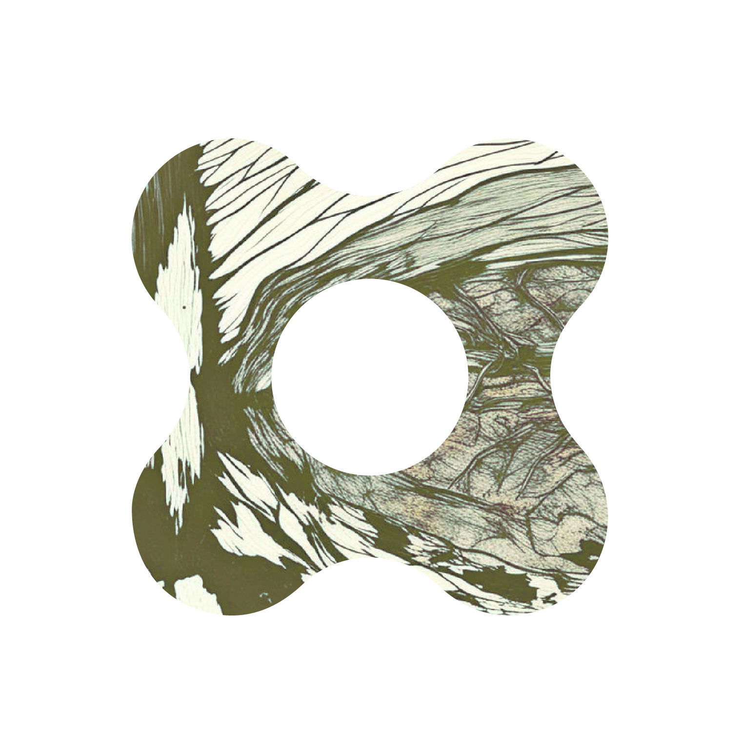branded shape with green textures of butterfly wing