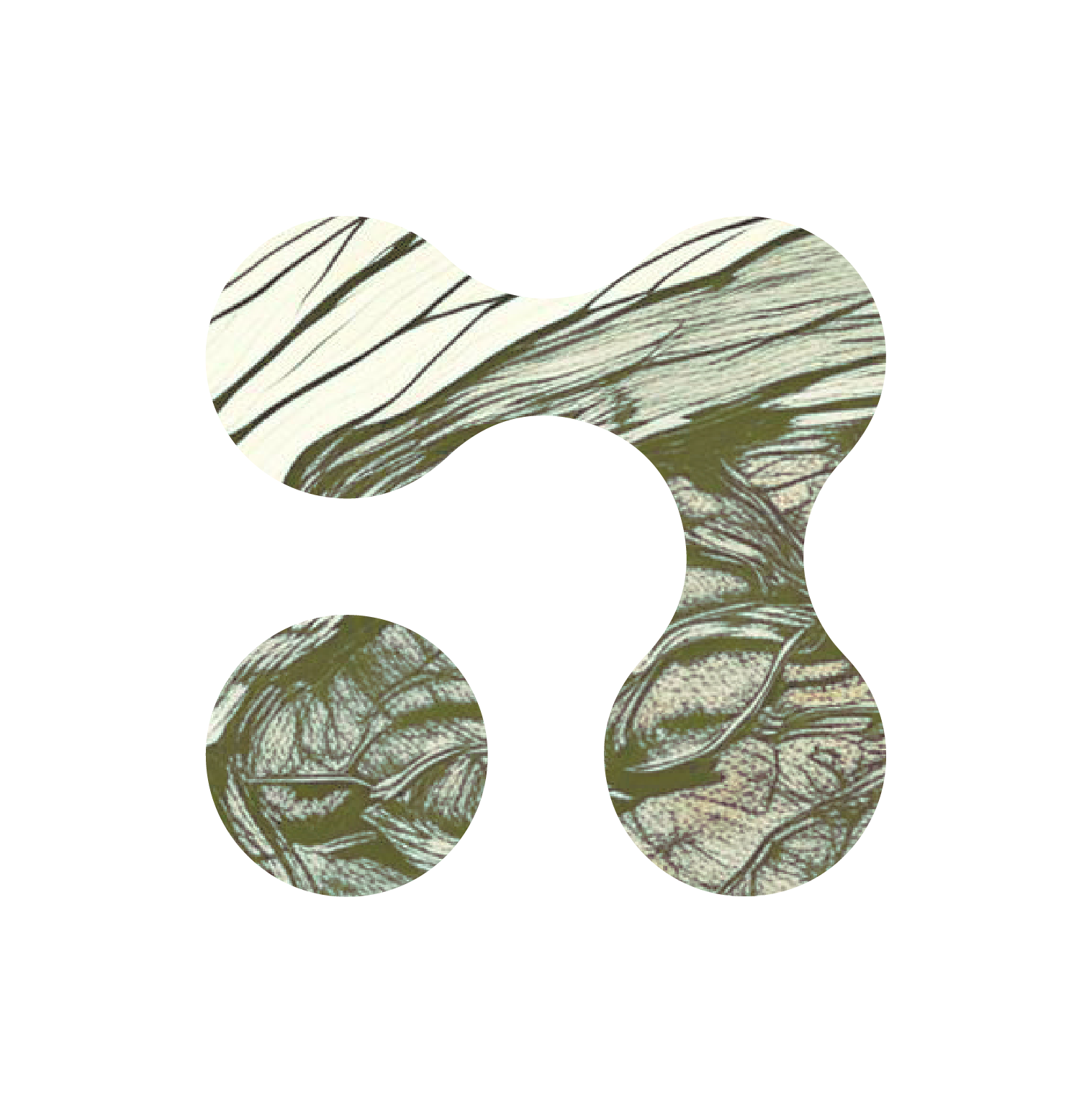 branded shape with green textures of butterfly wing