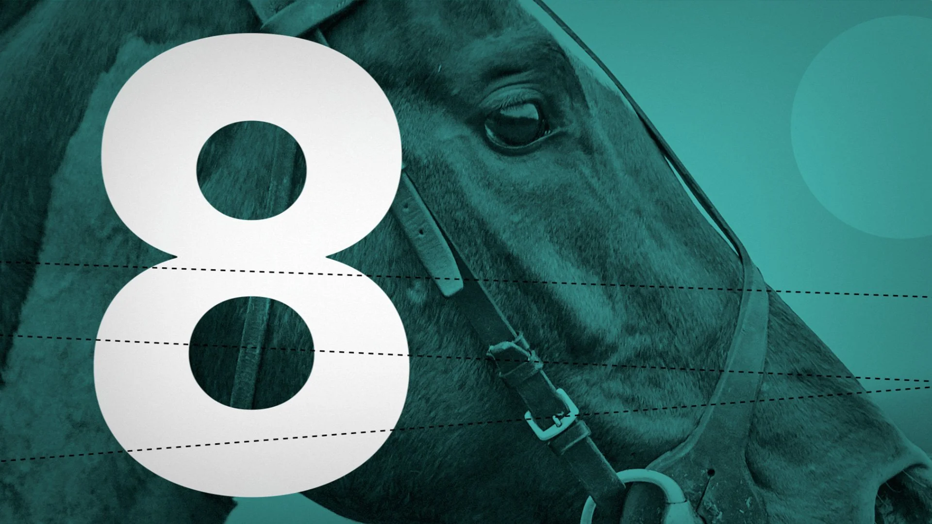 CHAMPIONSHIP HORSE RACING