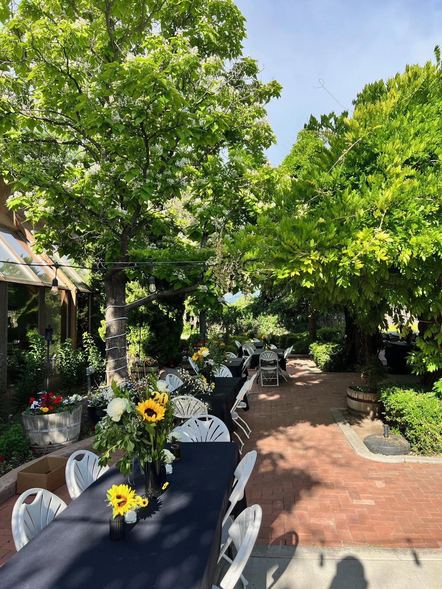 Outdoor patio setup with tables decorated with sunflower and floral centerpieces, surrounded by lush green trees and plants, with sunlight casting shadows on the brick paving.