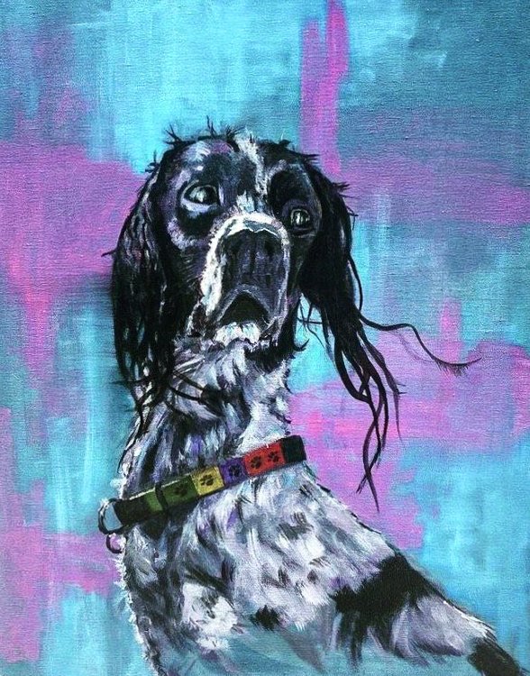 Painted portrait of a dog with expressive eyes, black and white fur, wearing a colorful collar with a rainbow pattern, against an abstract blue and purple background.