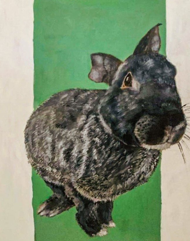 A drawing of a grey rabbit against a green background.
