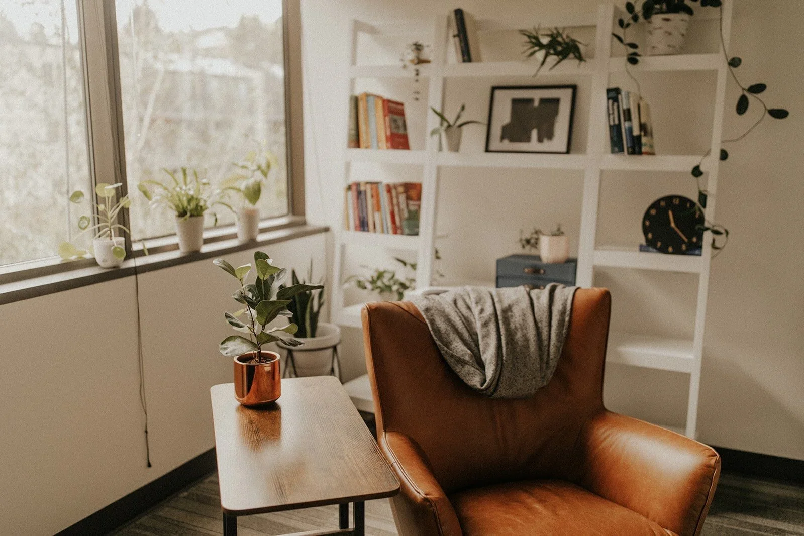 Cozy living space with a brown leather armchair, a gray blanket draped over its back, a wooden side table with a potted plant, large windows with plants on the windowsill, and a white bookshelf filled with books and decorative items.