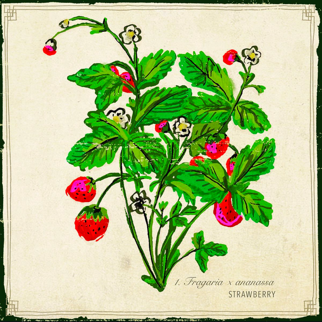 IMG_0900.png