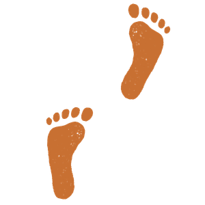 Two brown footprints facing forward.