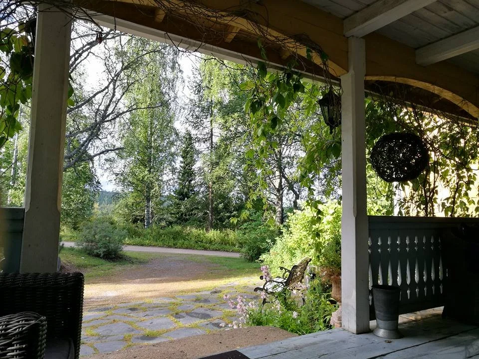 View from a porch looking onto a lush green yard with trees and plants during daylight.