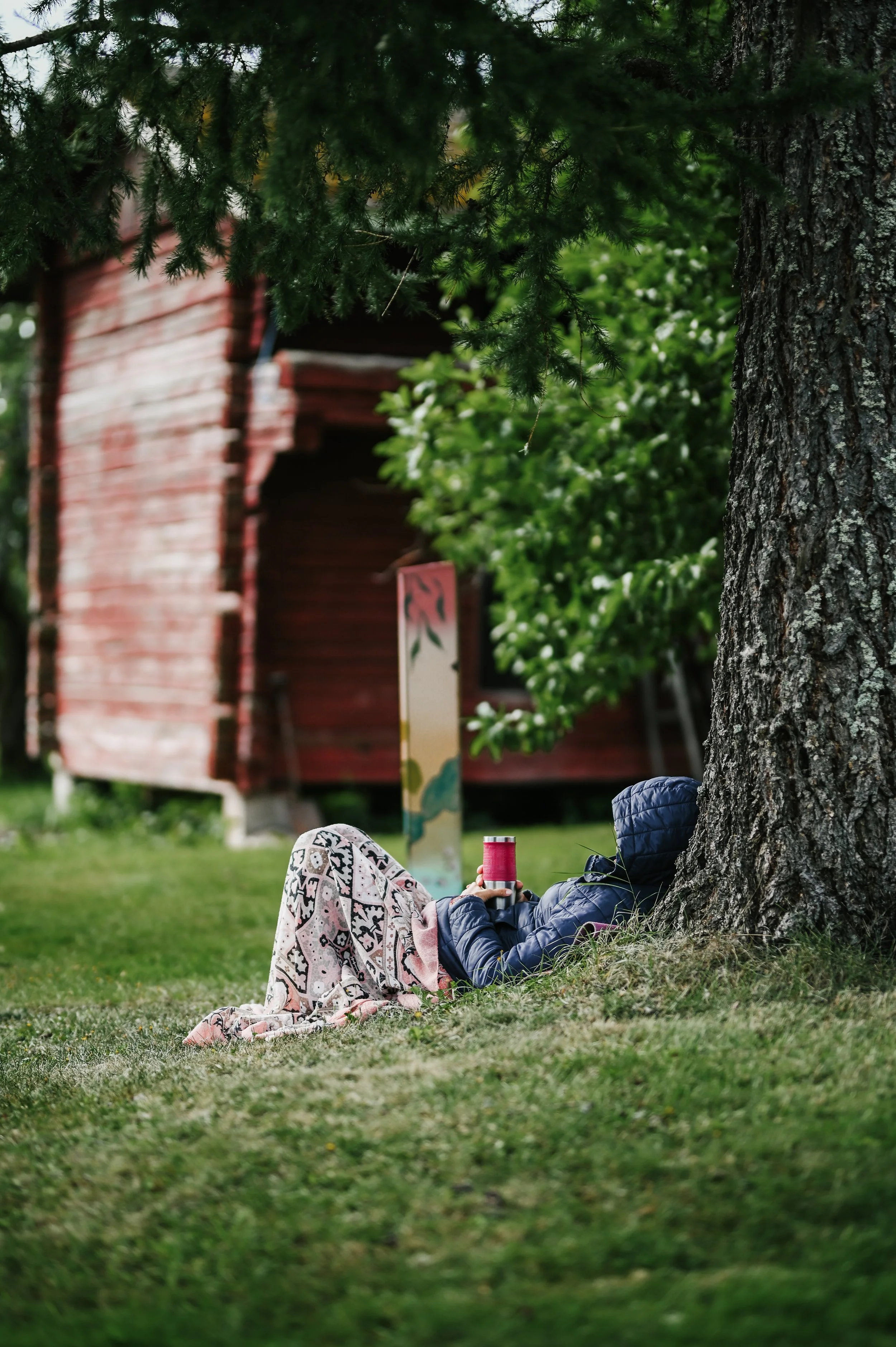 A person is relaxing under a tree, sitting on the grass with their back against the trunk. They are holding a red cup and are covered with a patterned blanket. In the background, there is a red wooden building and some white flowers.