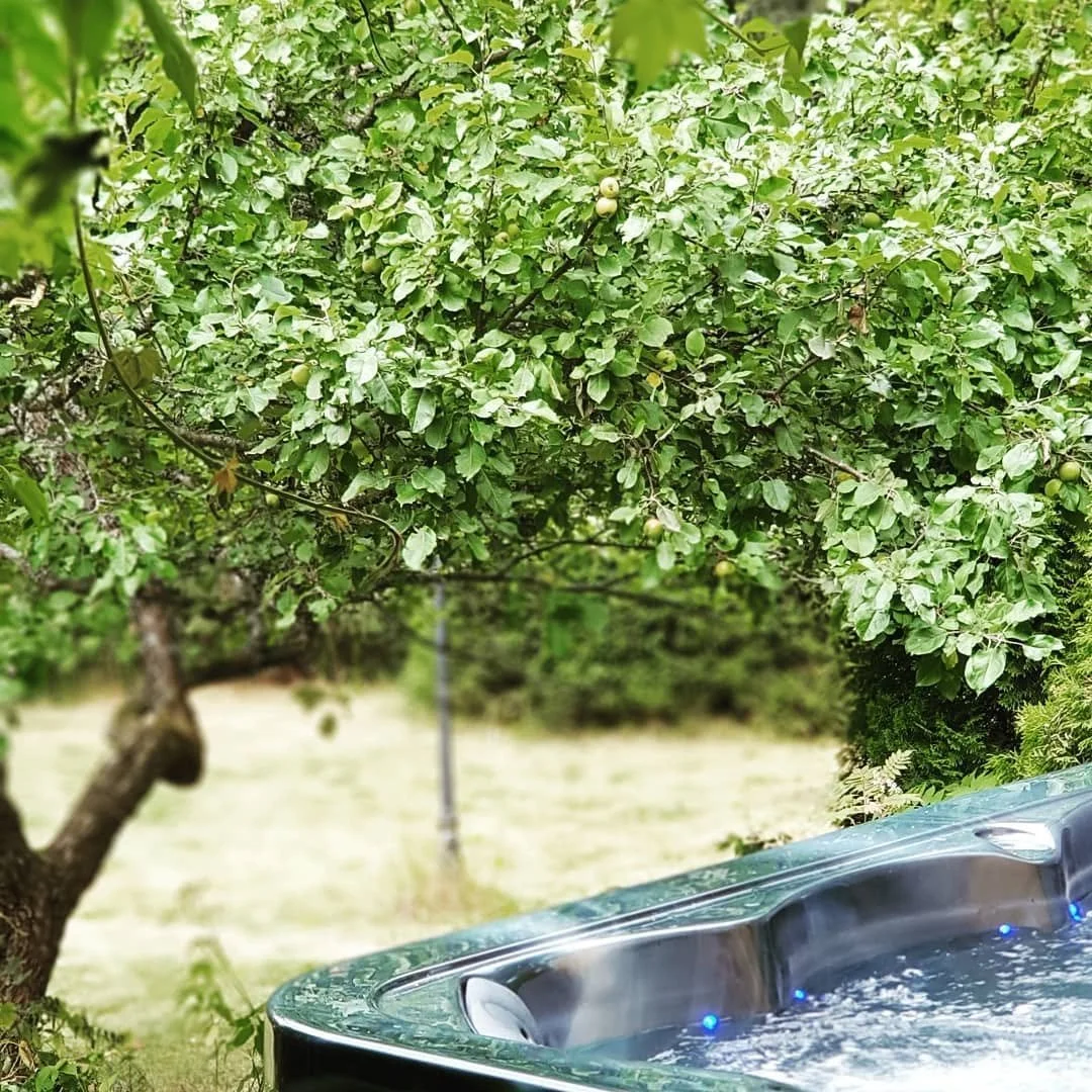 A hot tub filled with water is placed outdoors next to a large, leafy tree in a garden area.