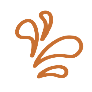 Stylized line drawing of a butterfly with open wings.