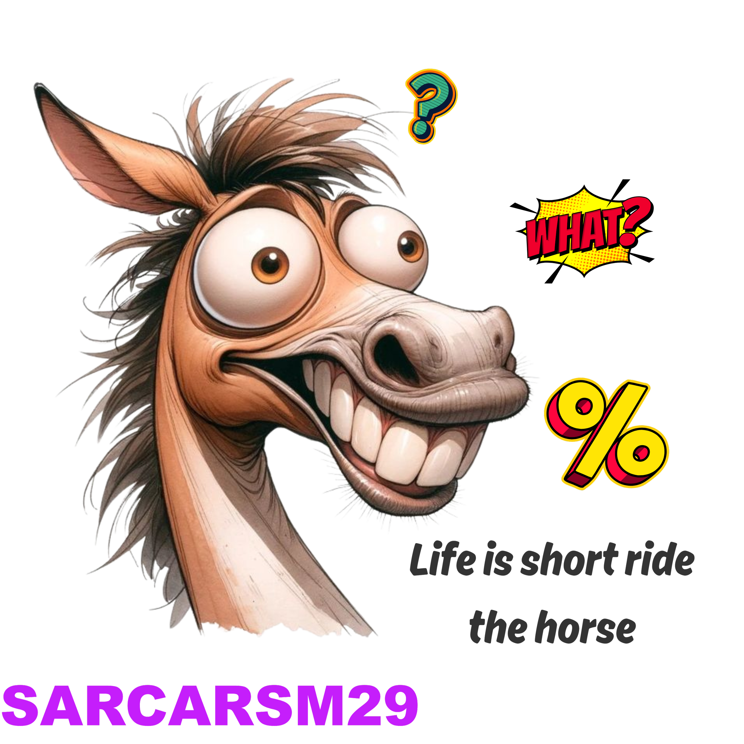 SARCARSM29_result.png