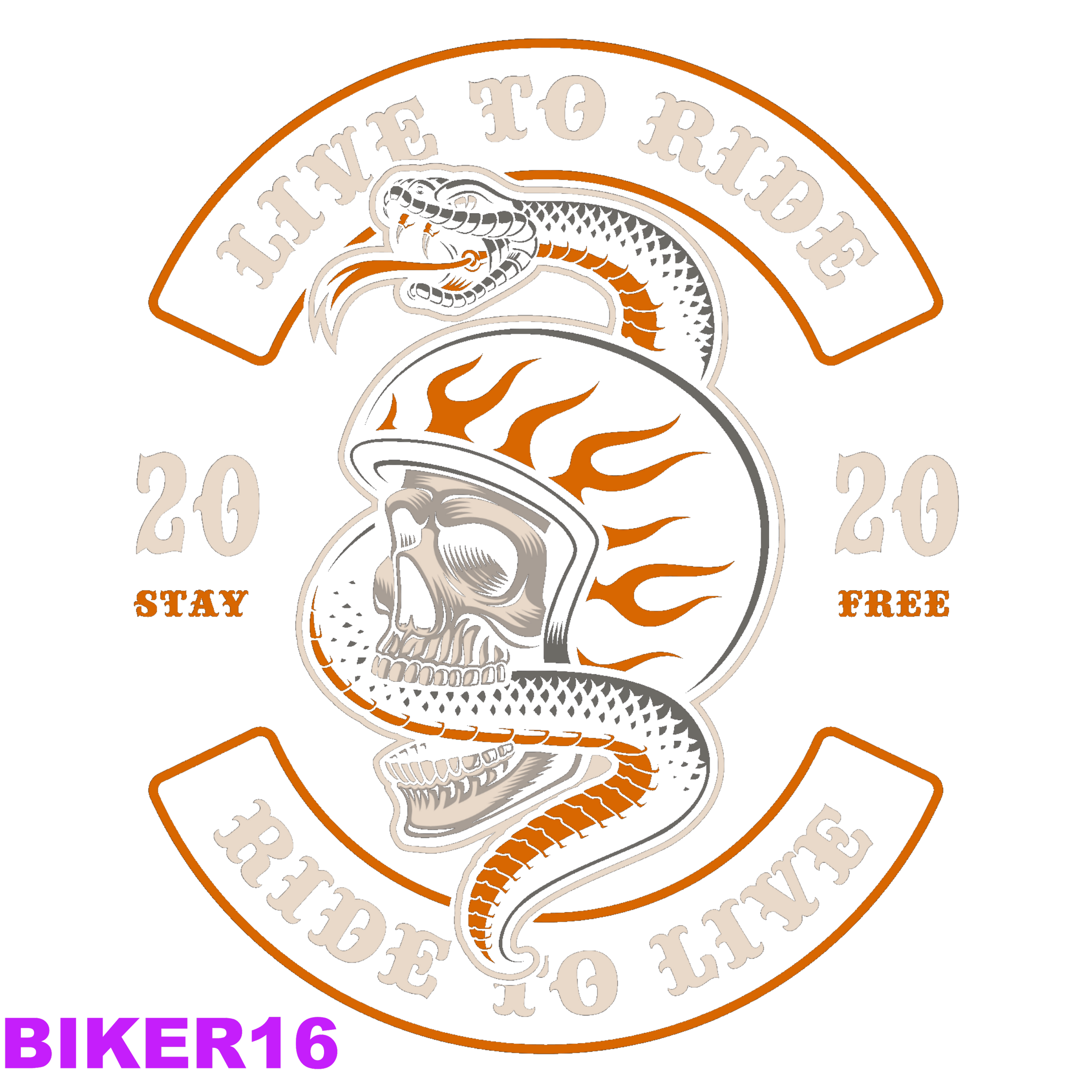 BIKER16_result.png