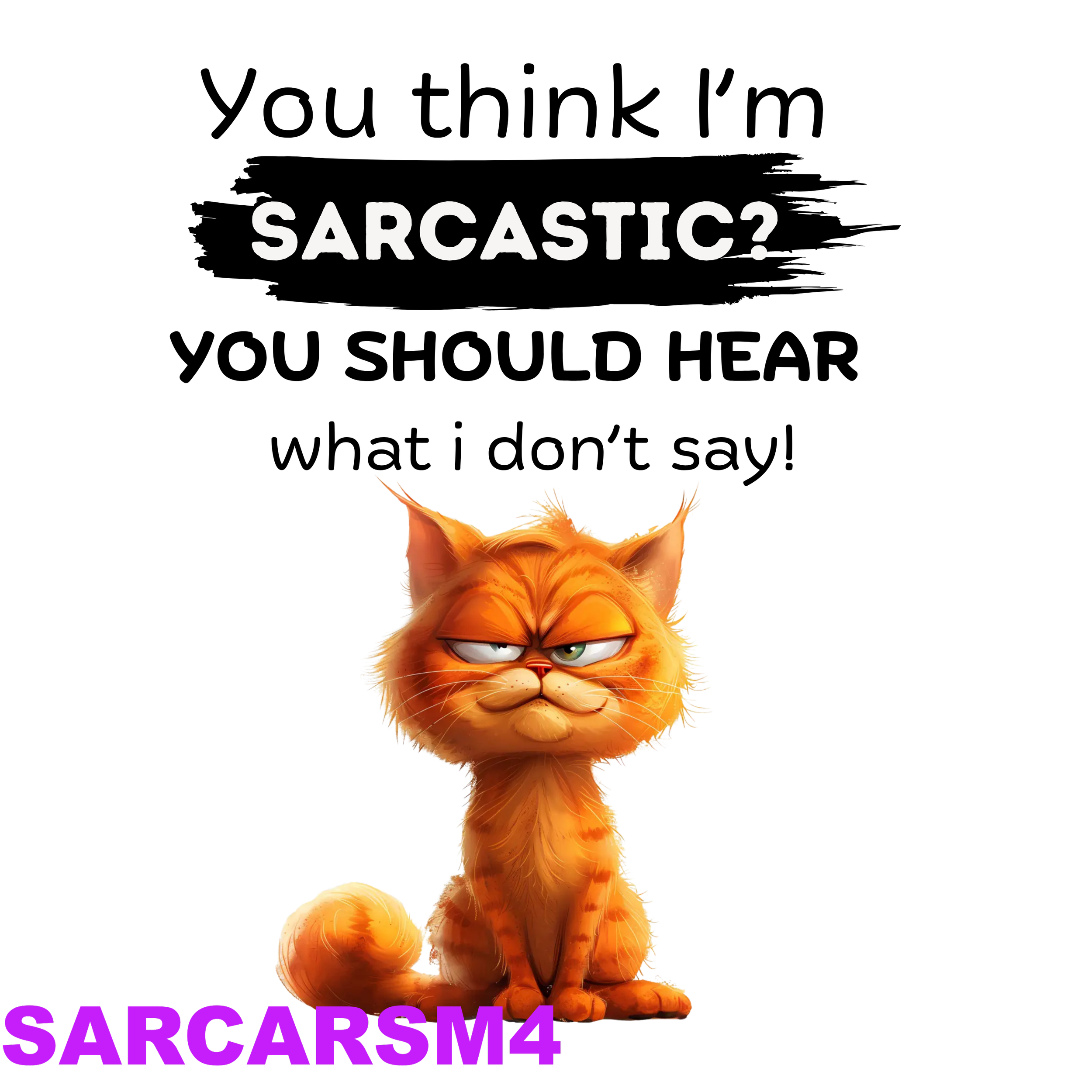 SARCARSM4_result.png