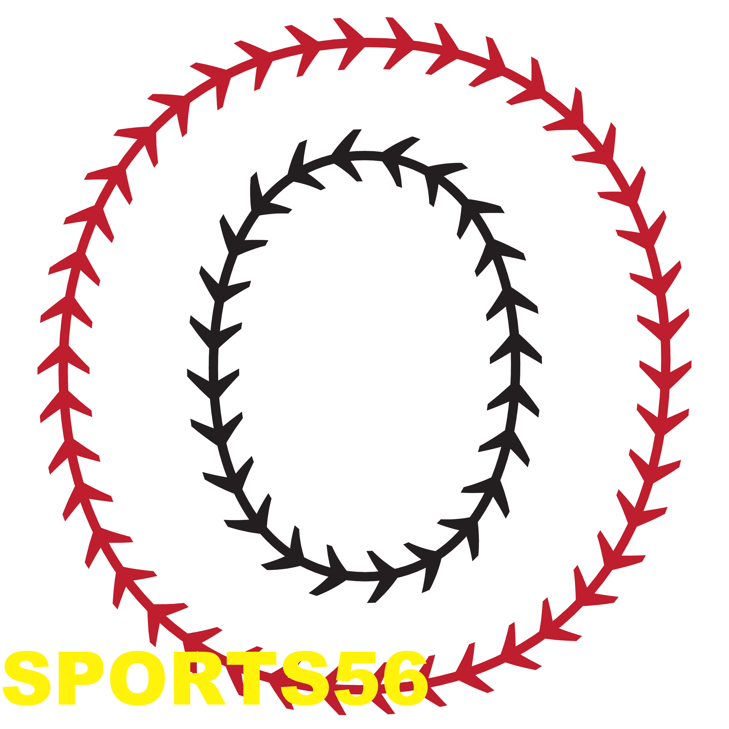 SPORTS56_result.png