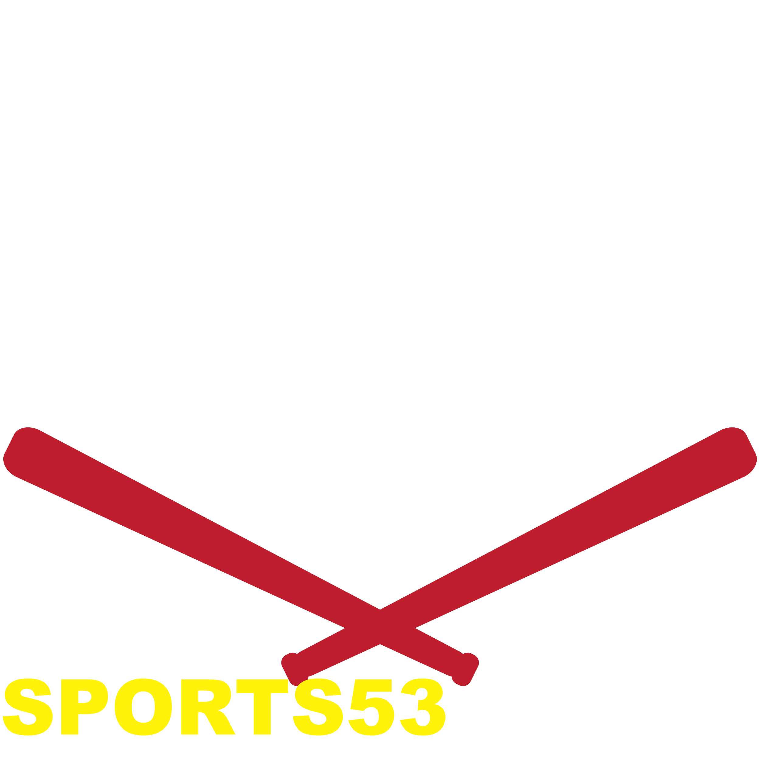 SPORTS53_result.png