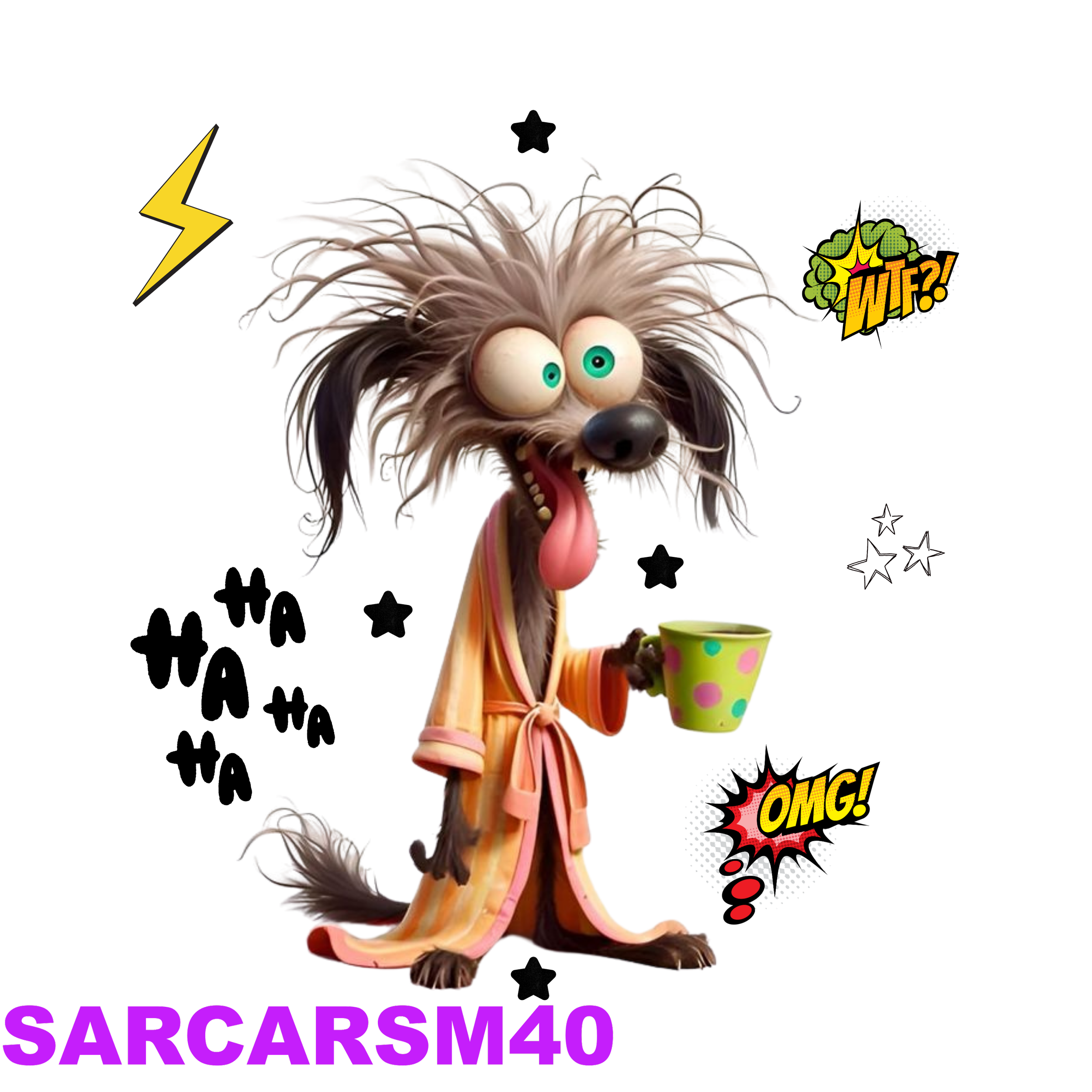 SARCARSM40_result.png