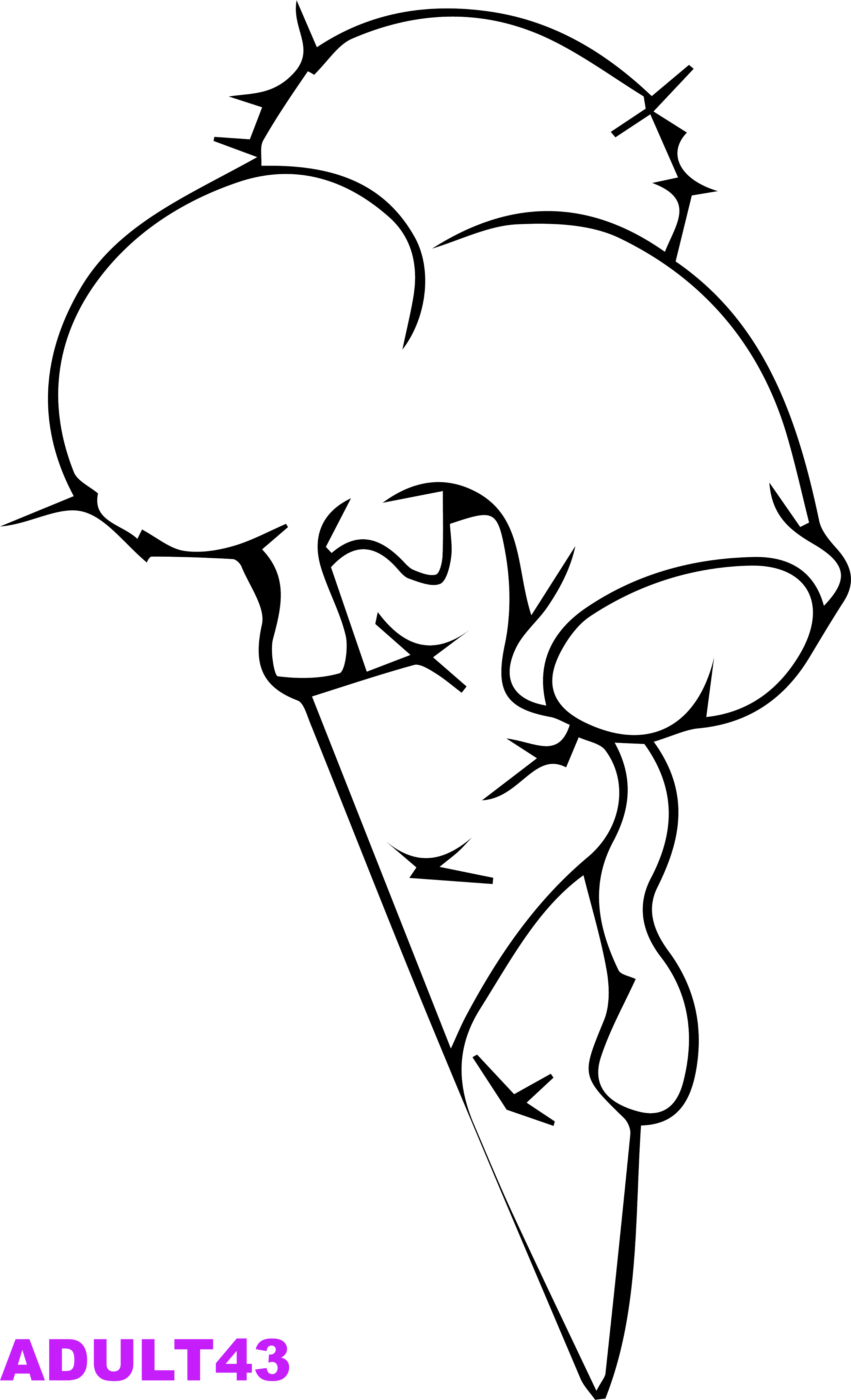 ADULT43_result.png