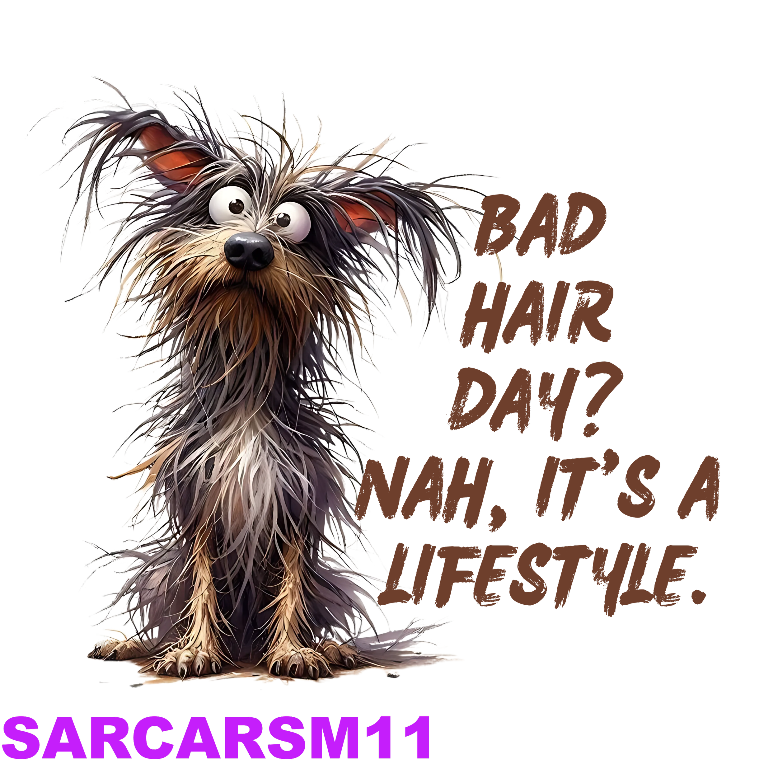 SARCARSM11_result.png