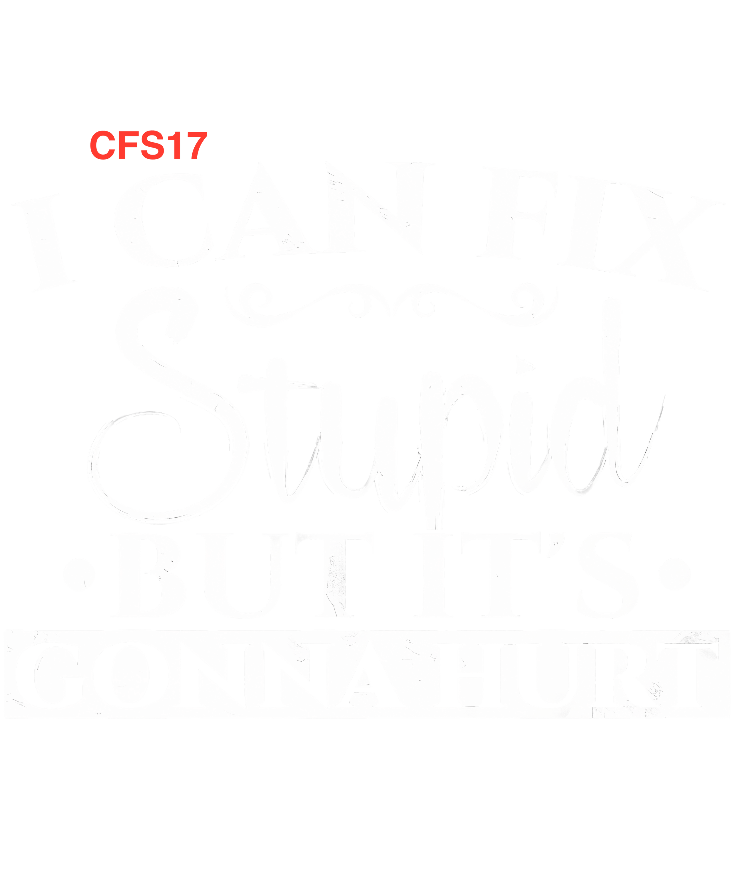 CFS17.png