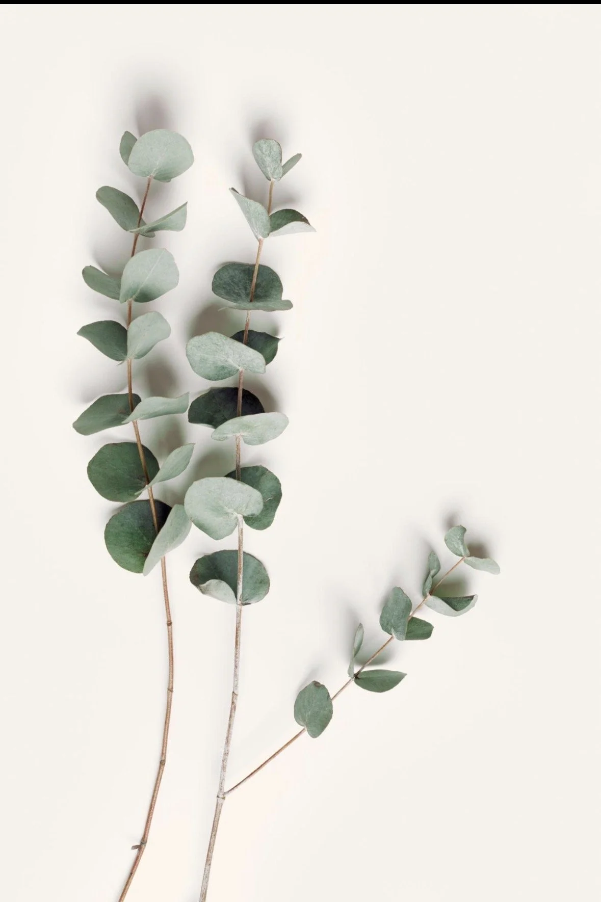 Foundational Coaching