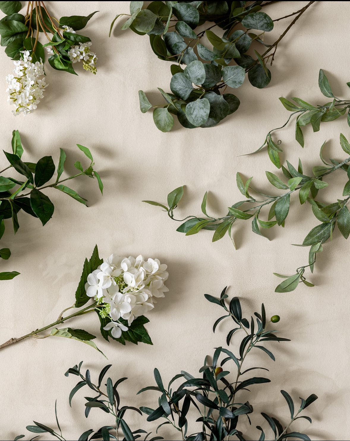 Growth & Momentum Coaching