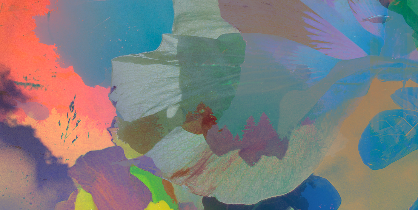Abstract colorful digital artwork with overlapping floral and landscape elements, featuring petals, leaves, trees, and a sky.