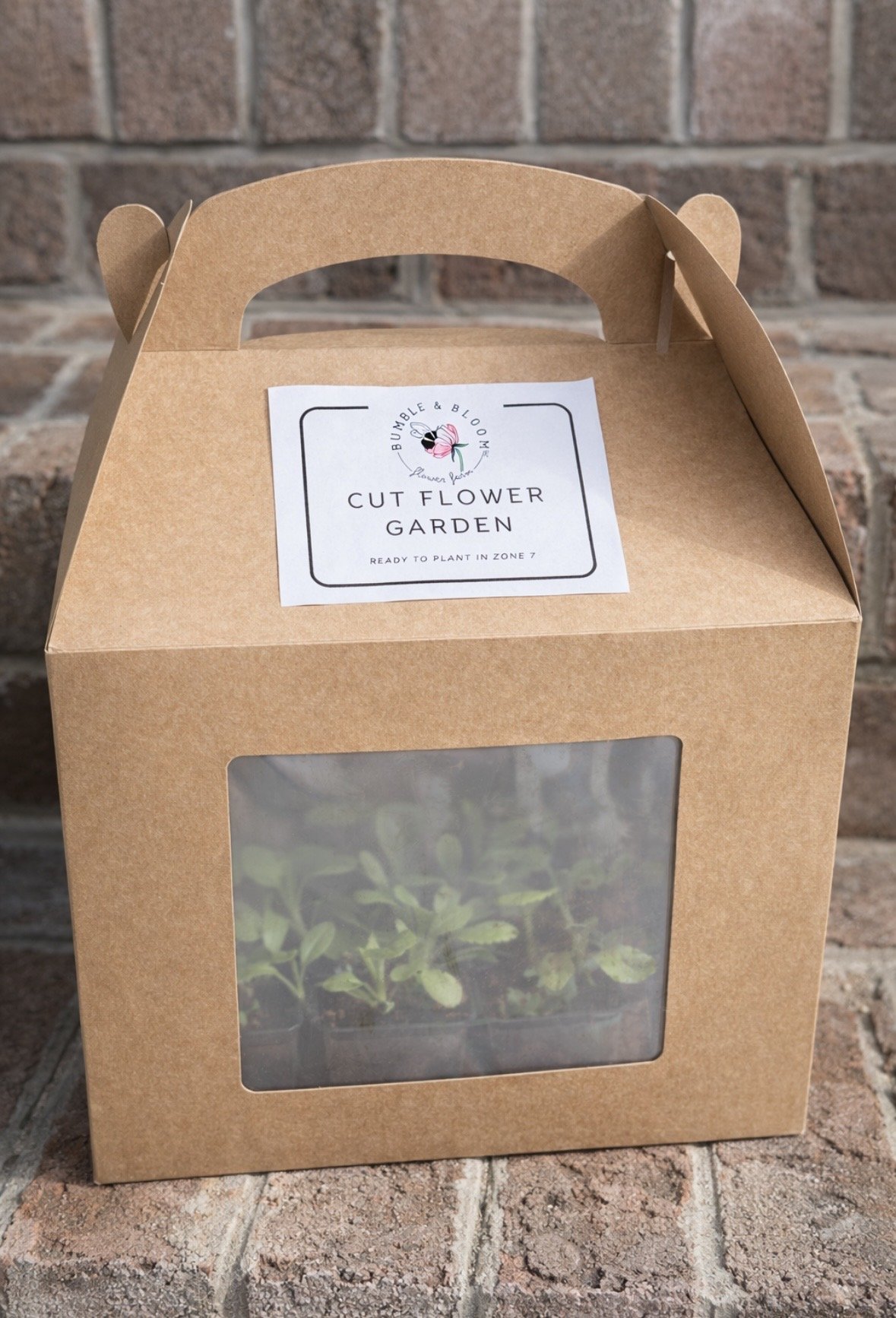 Spring Cut Flower Garden Kit - preorder for March pickup