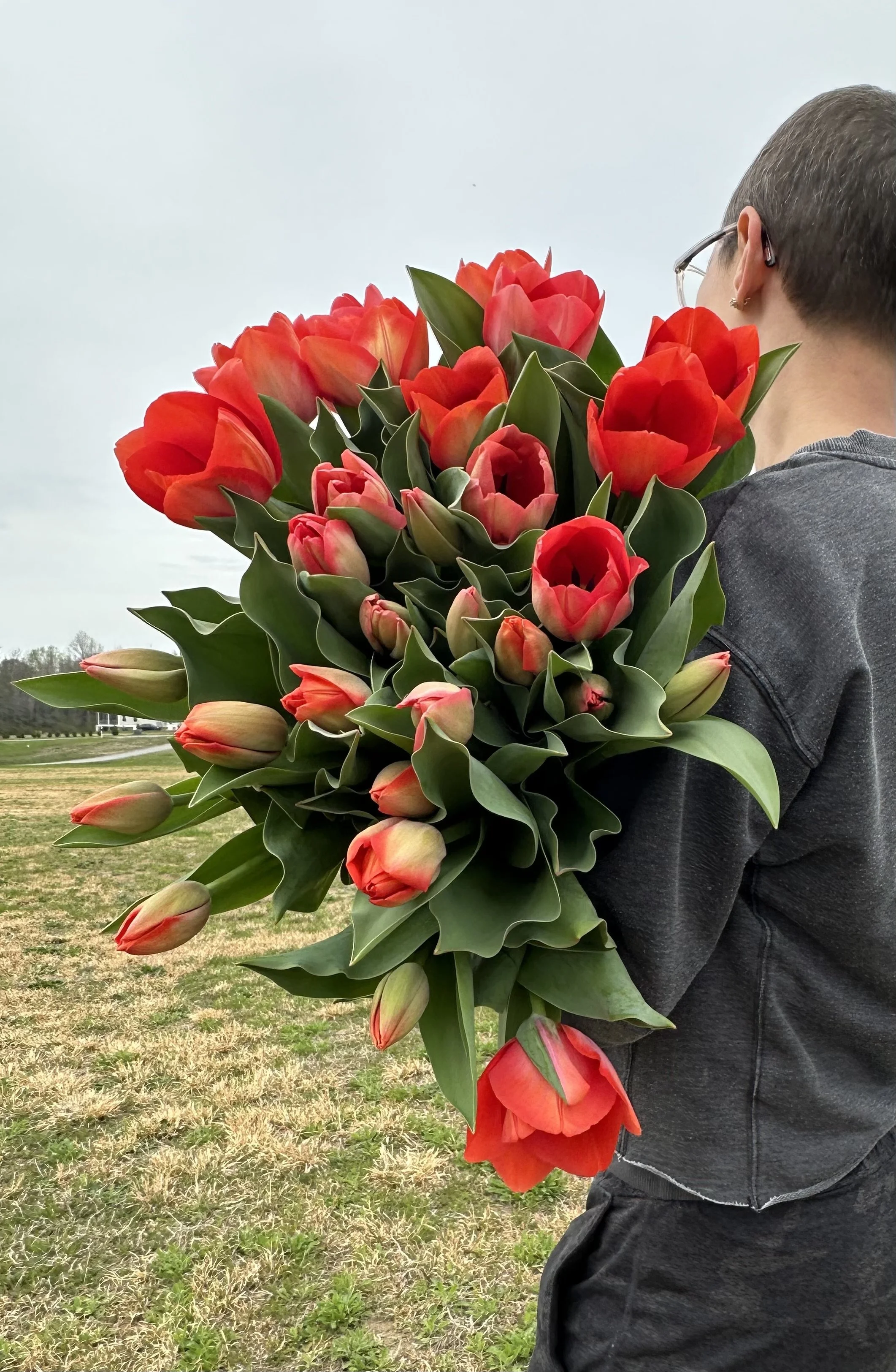 Person holding a large bouquet of red tulips outdoors on a cloudy day.