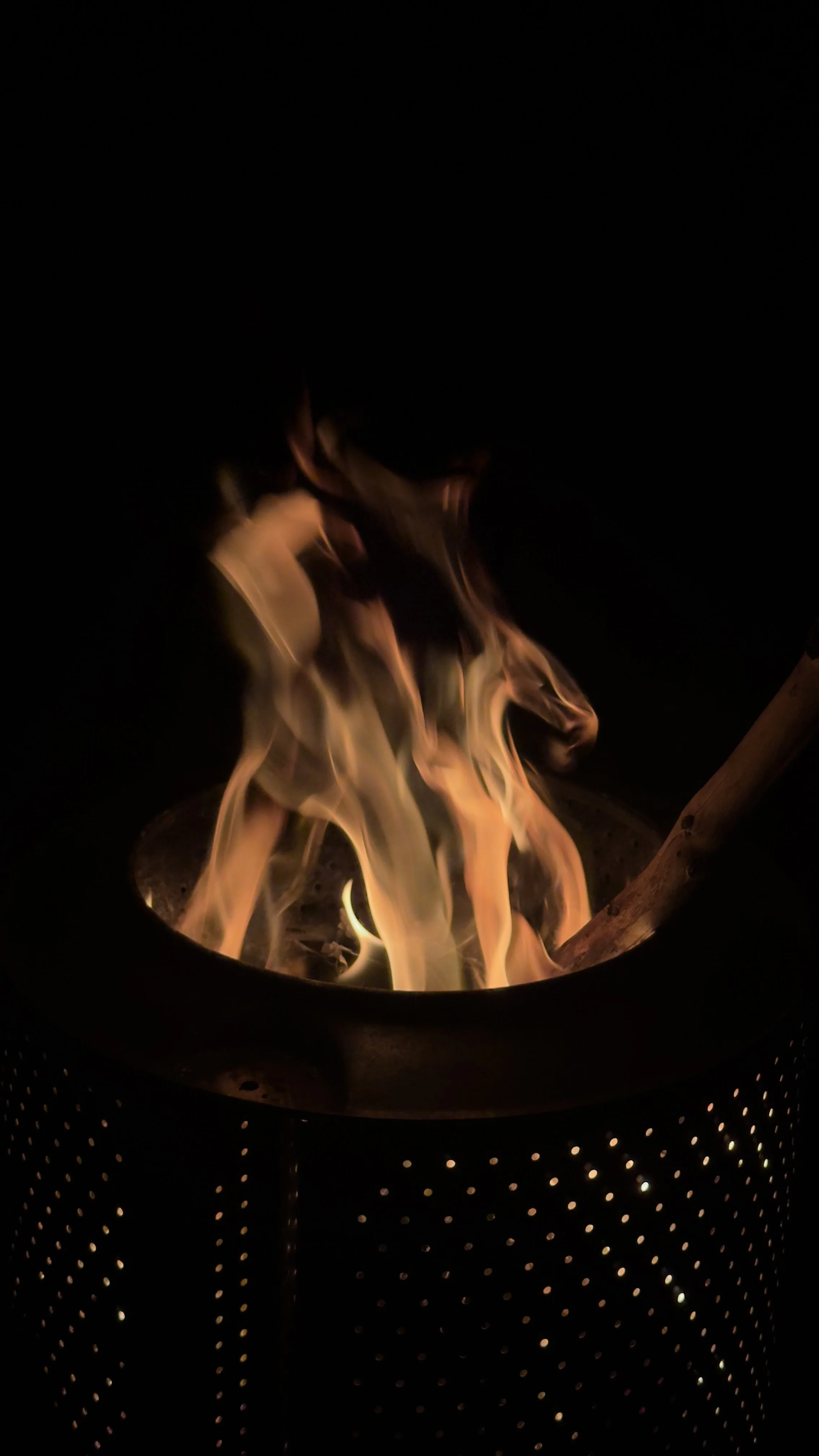Sāti Burnt ~ Śakti Peeth Rose