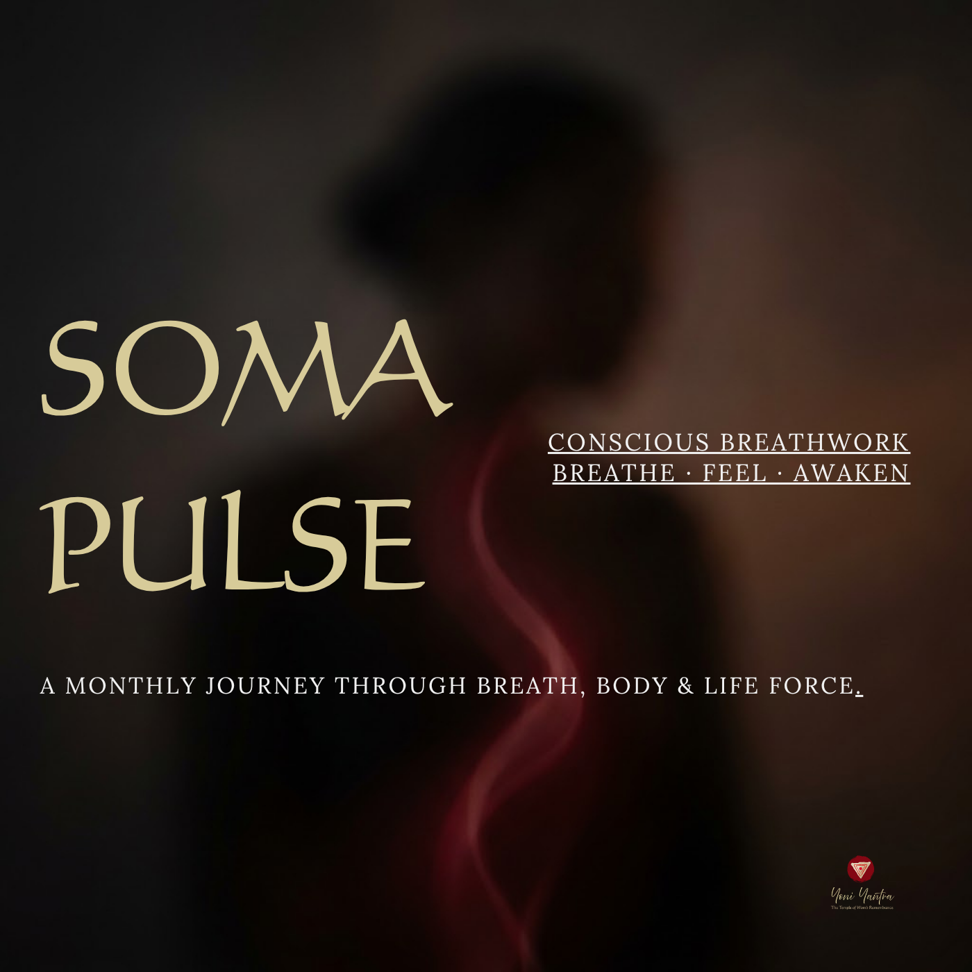 SOMA PULSE OCT 11  :  9 VIP Tickets until Sept 18