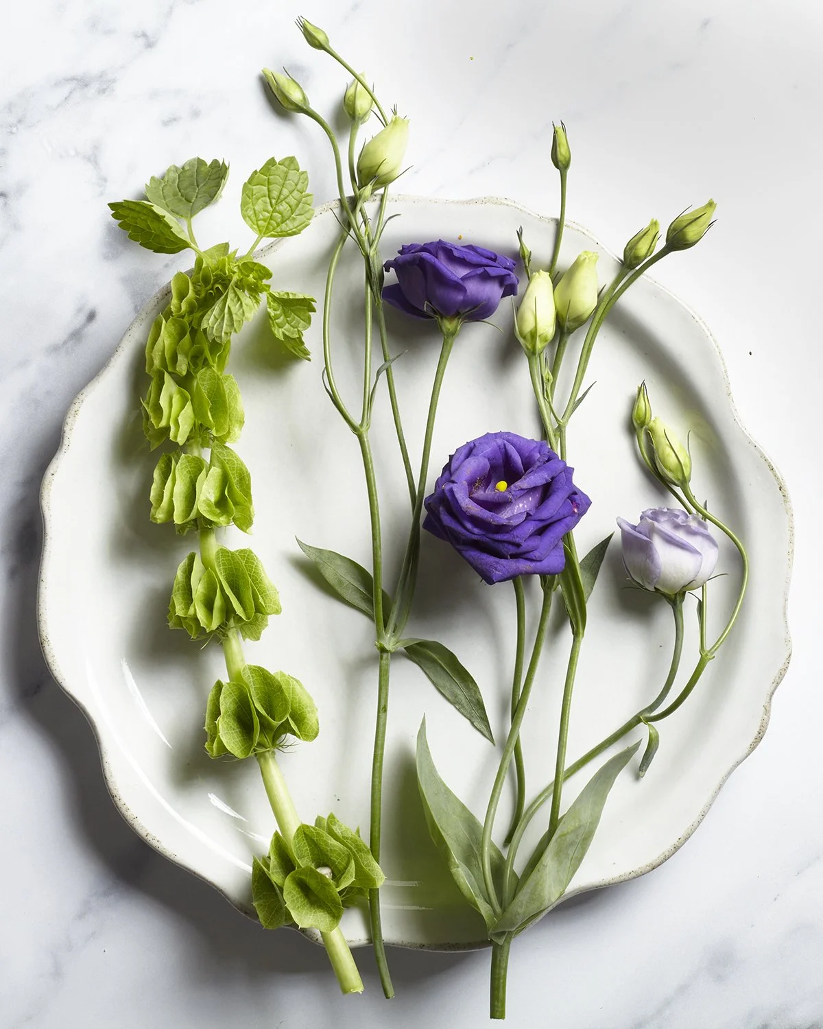 PurpleFlowers_Web.jpg