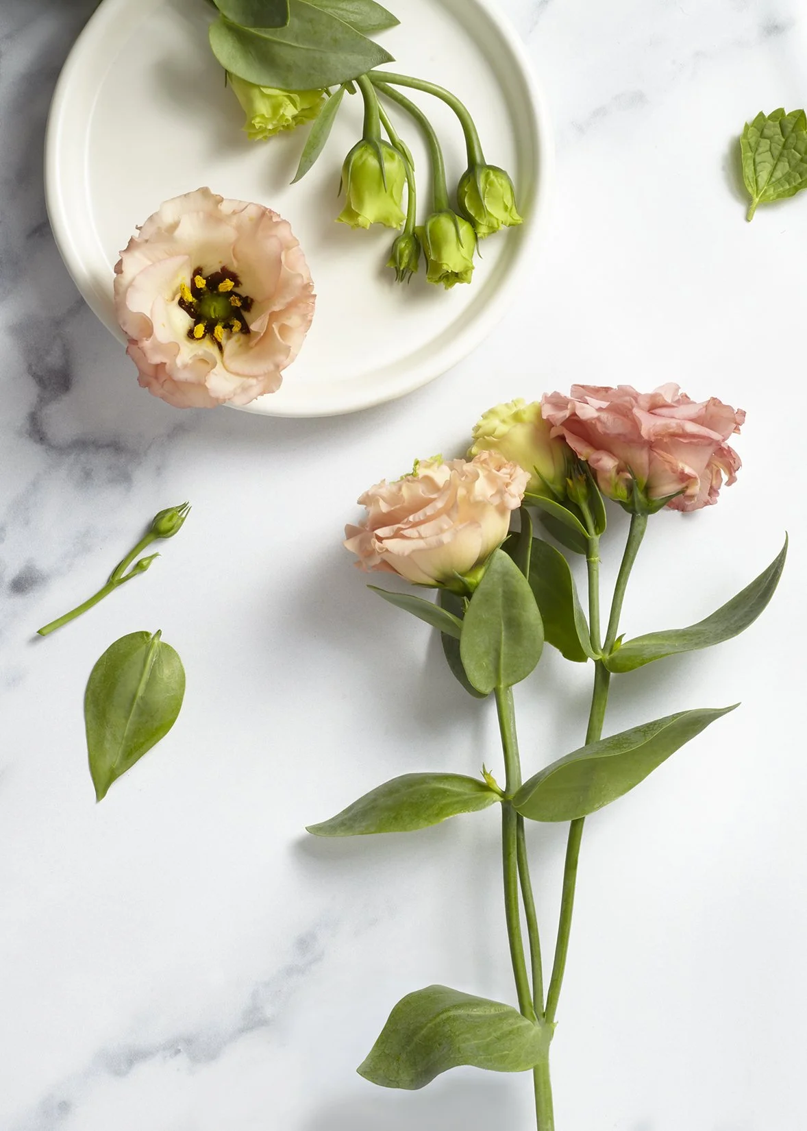 PinkFlowersPlate_Web.jpg
