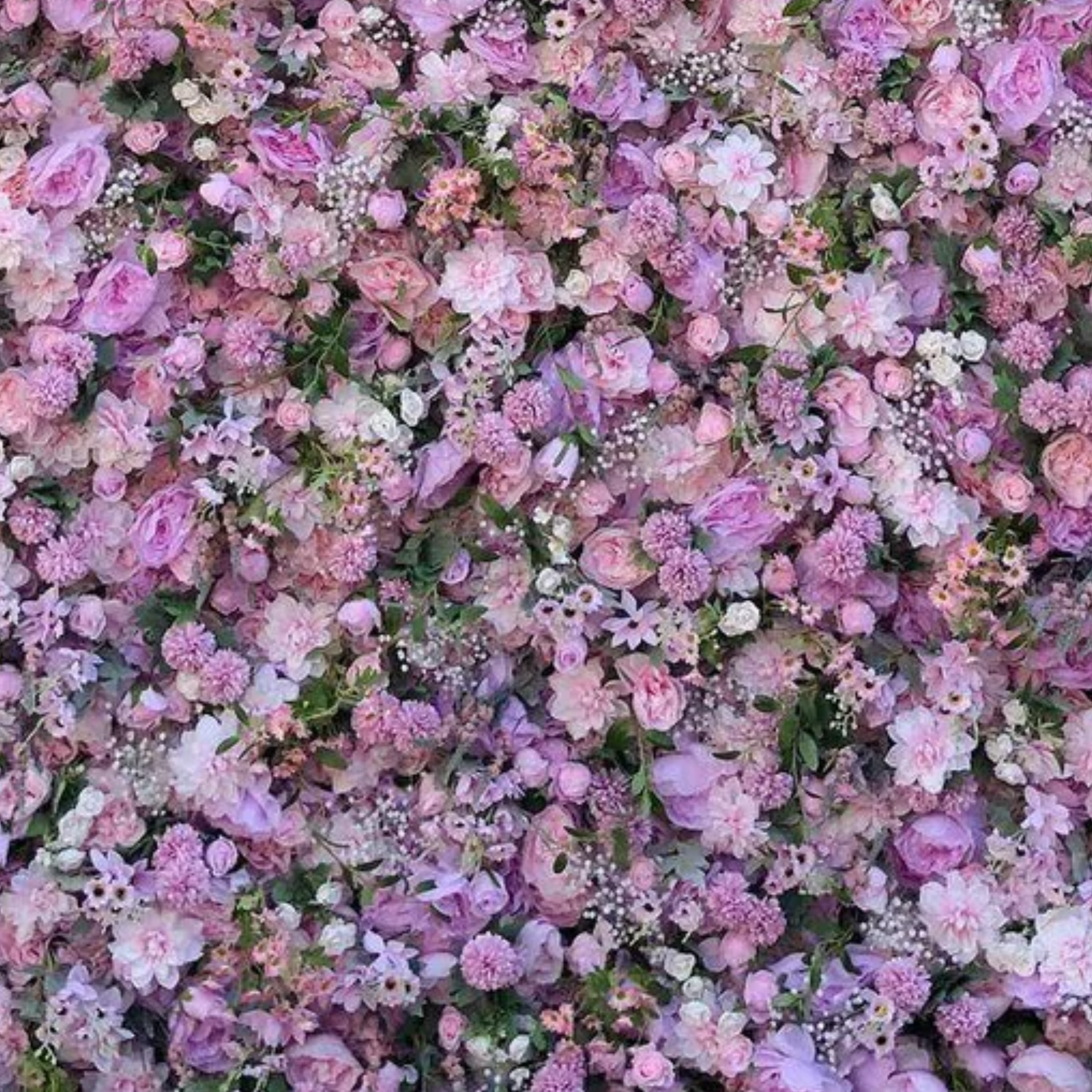 Violet Flower Wall Rental: Purple violet wildflower peony ranunculus