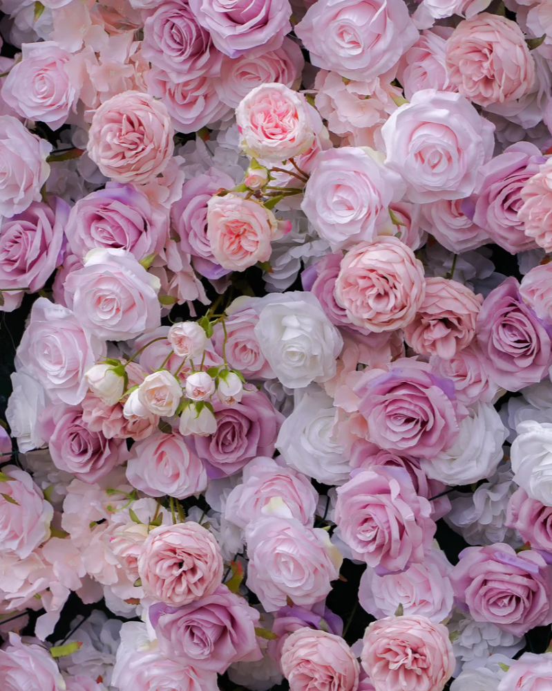 flower wall roses