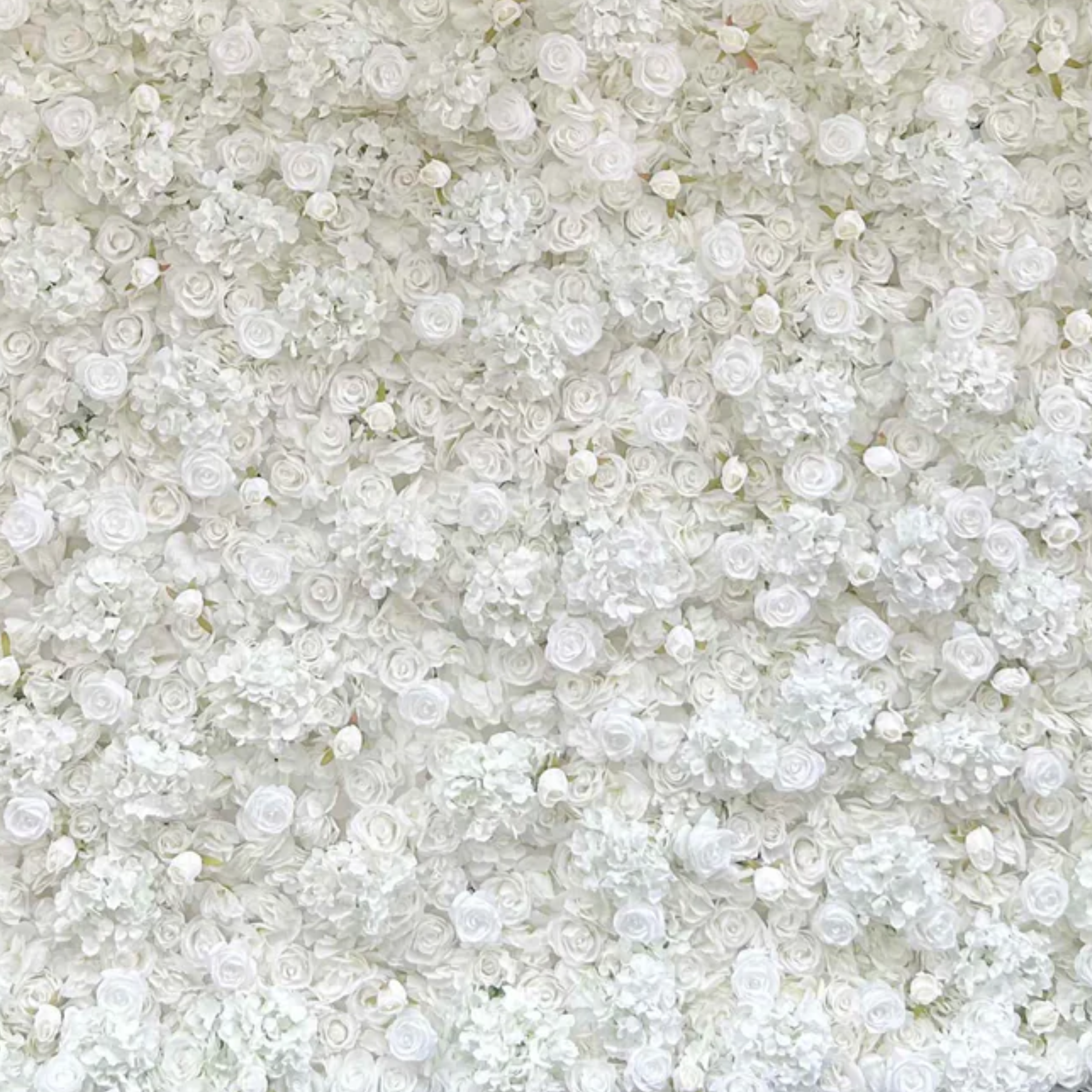 Bianca Flower Wall Rental: white rose hydrangea spray roses wedding bridal