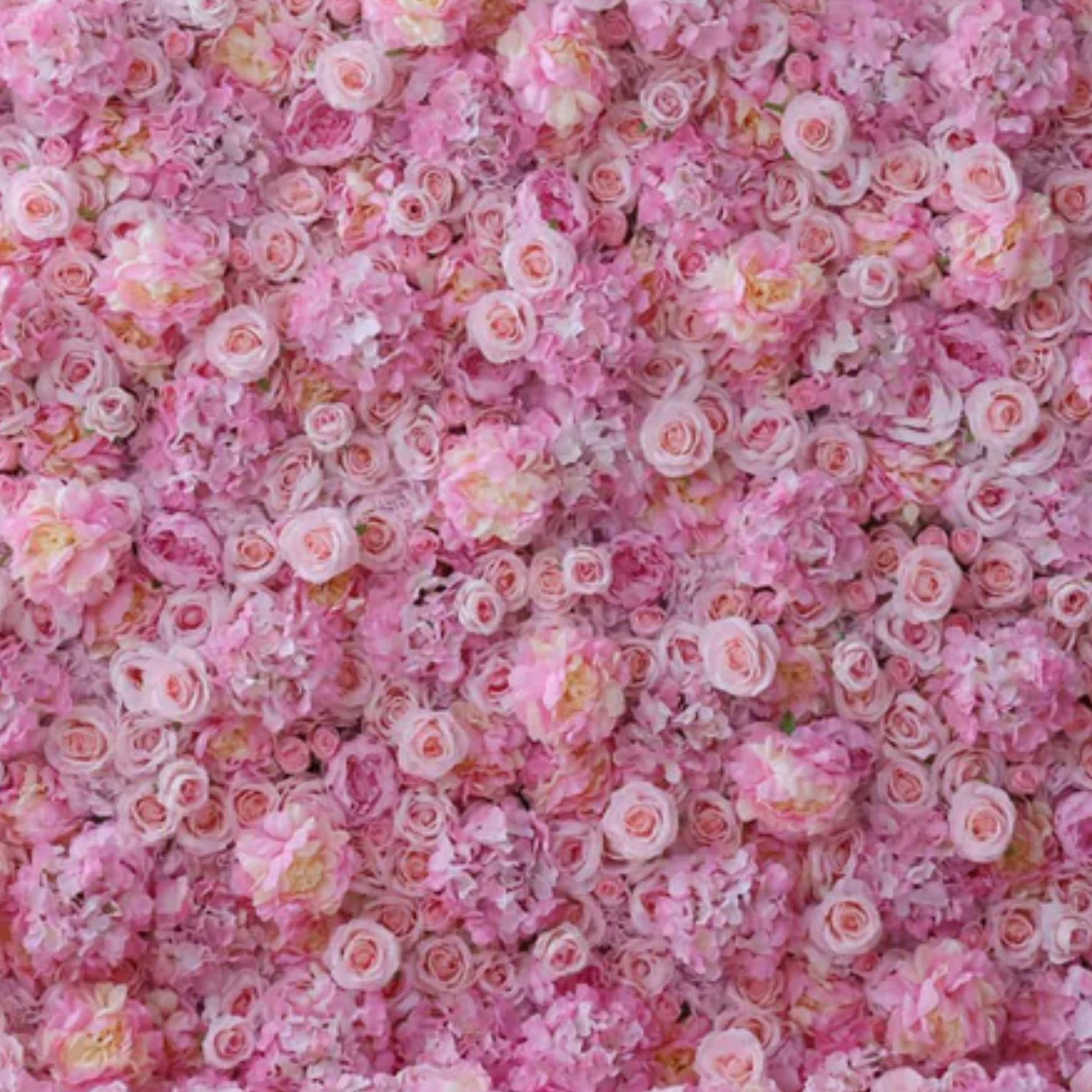 Paloma Flower Wall Rental: pink peony ranunculus rose hydrangea