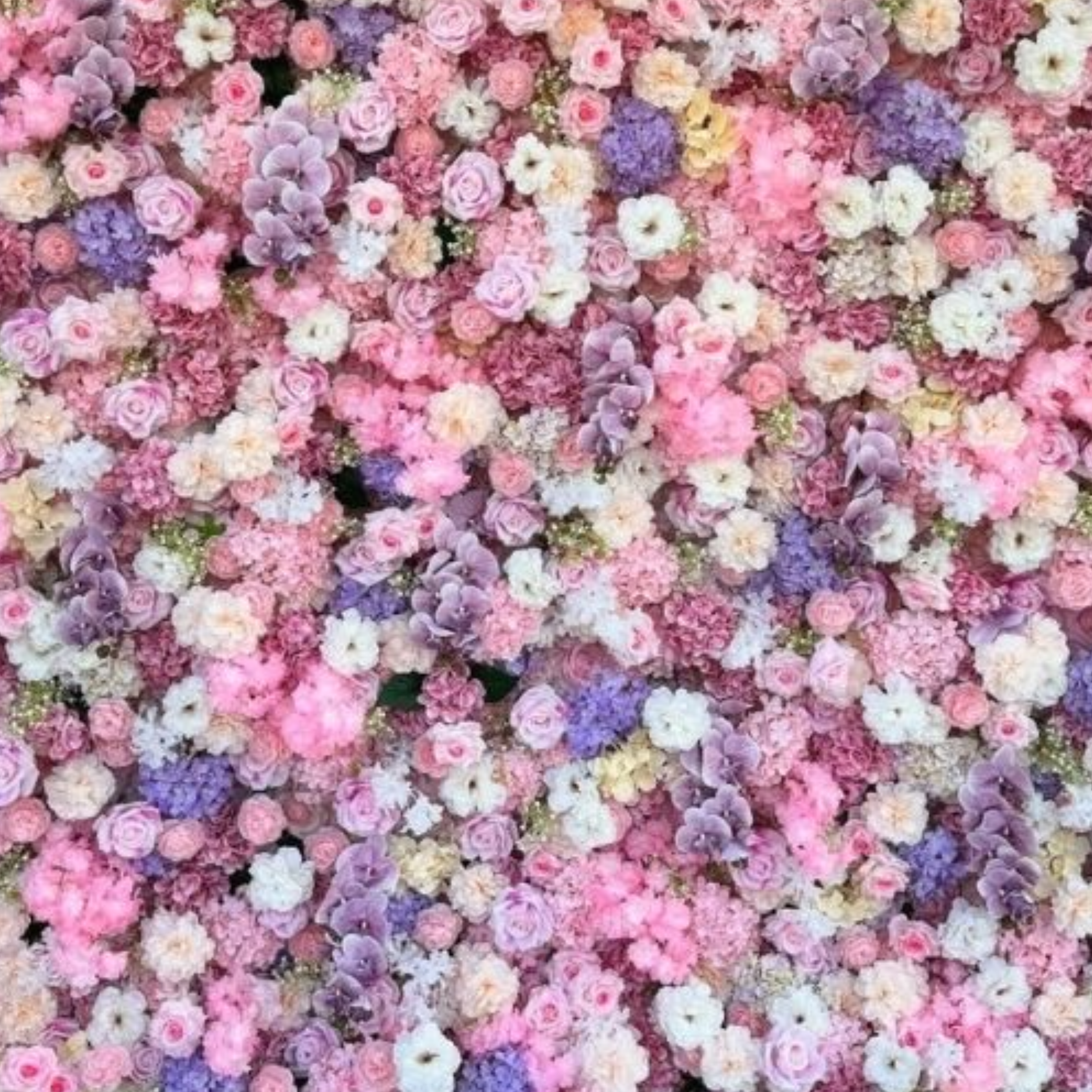 Odessa Flower Wall Rental: Pink, purple, yellow, white, multicolor wildflower