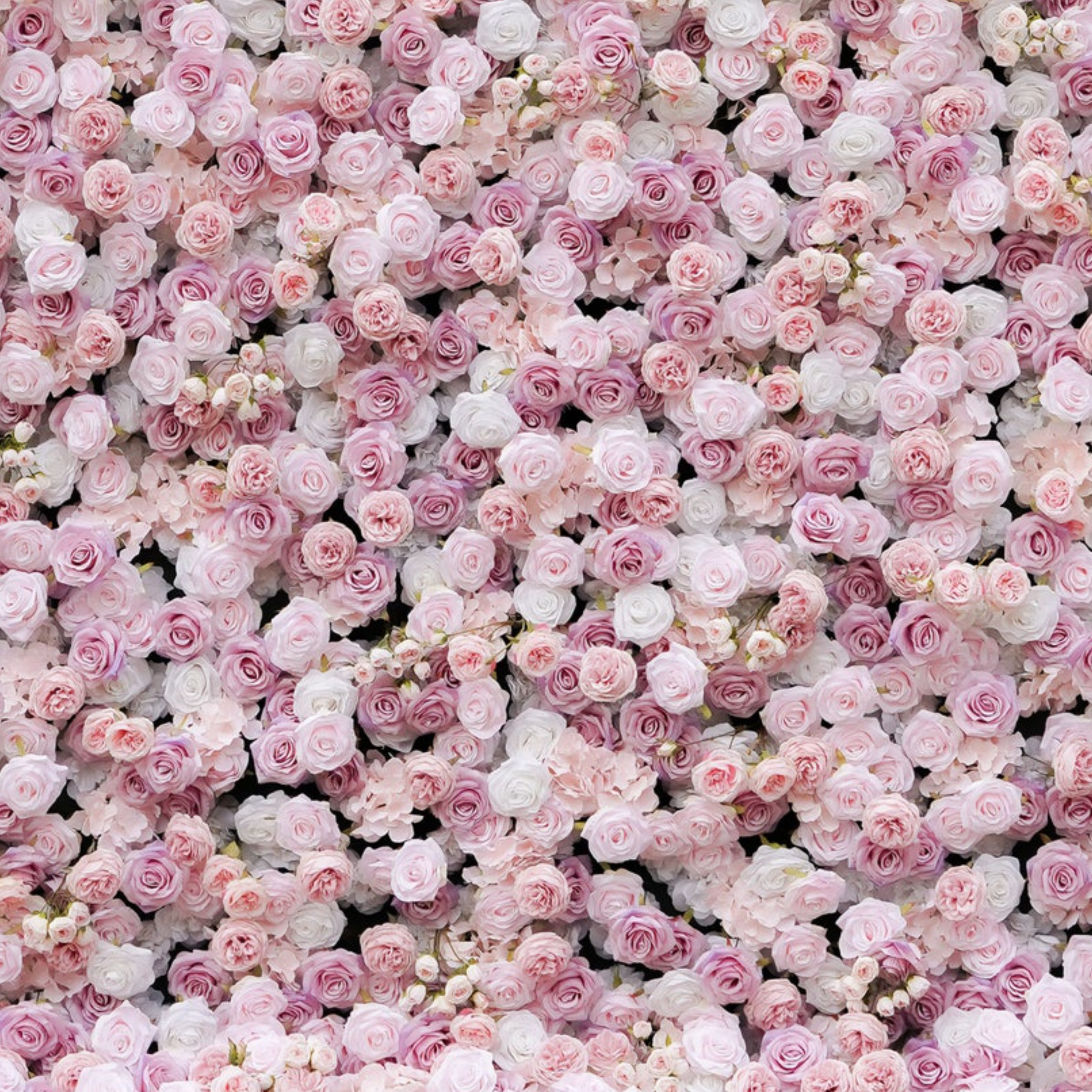 Isabella Flower Wall Rental: Pink, mauve, white roses peonies