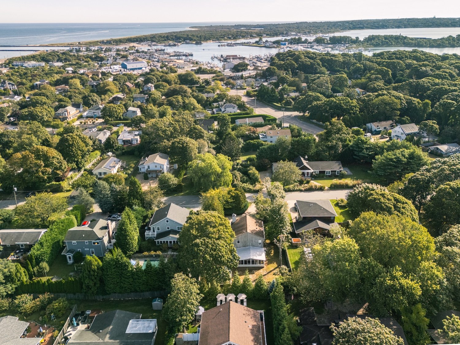 Aerial view of a neighborhood with numerous houses surrounded by lots of green trees, near a body of water with a marina and boats, under a clear sky.