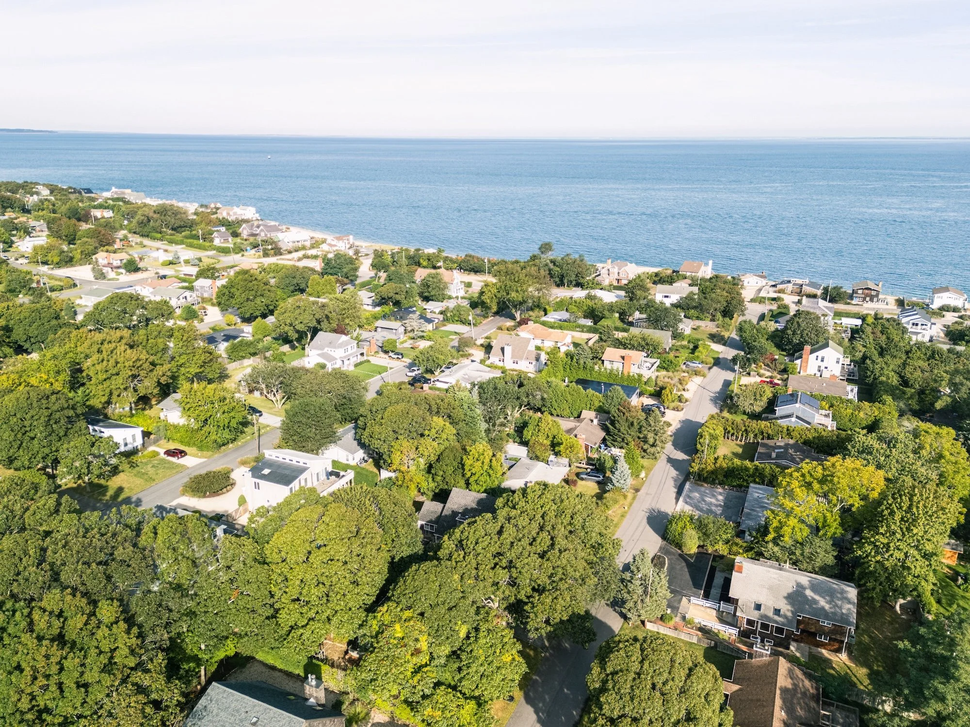 Aerial view of a coastal residential neighborhood with houses, trees, and streets, overlooking a large body of water.