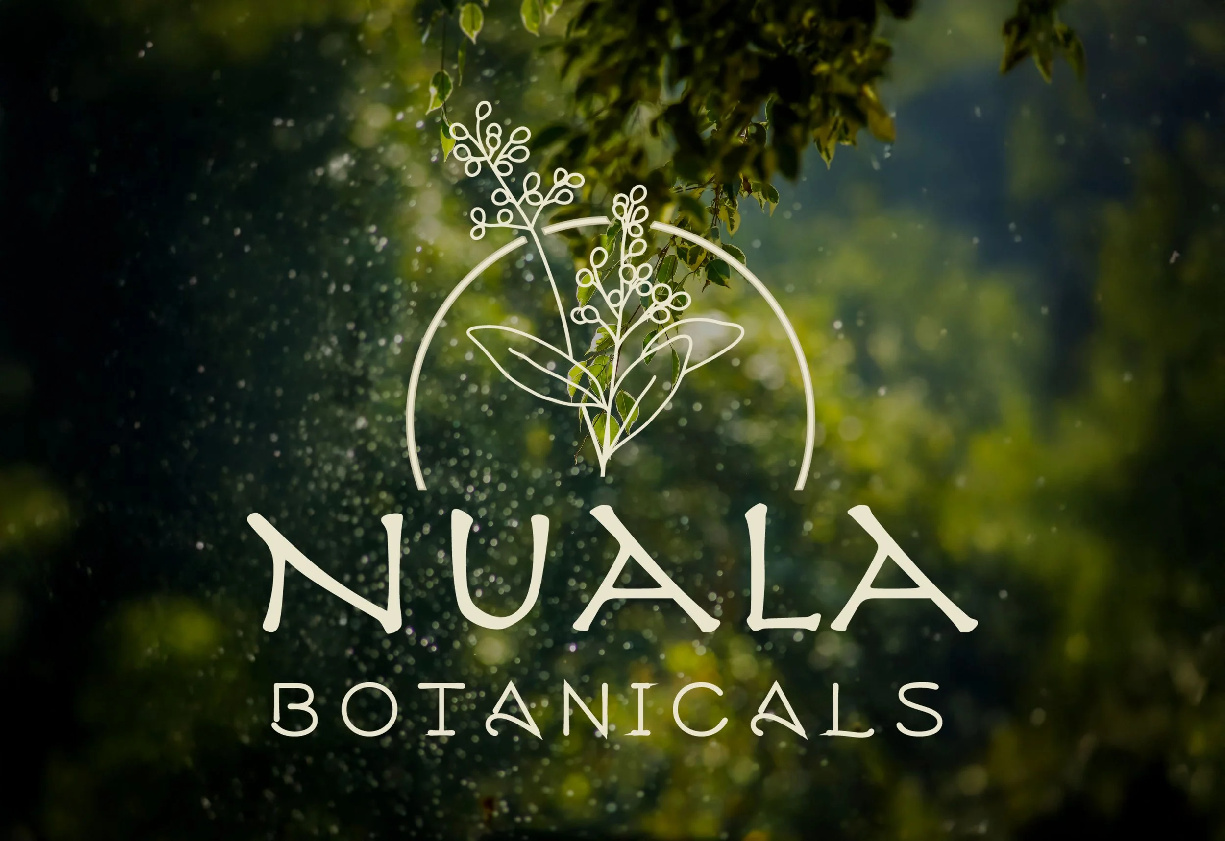 Logo for Nuala Botanicals featuring a white line drawing of a plant with leaves and berries, against a blurred green background with light particles.