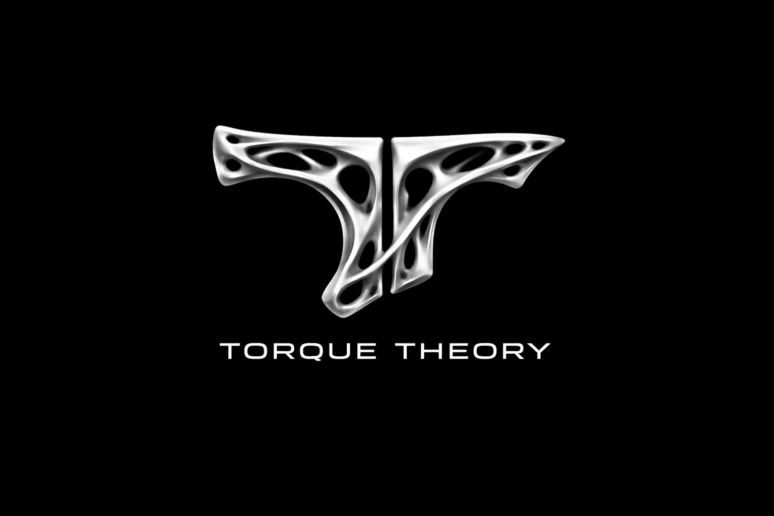 A modern, metallic abstract butterfly logo with hollow, organic shapes, accompanied by the text 'Torque Theory' beneath it.