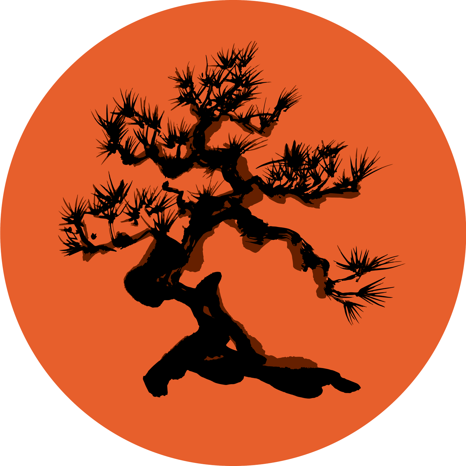 Bonsai Diaries