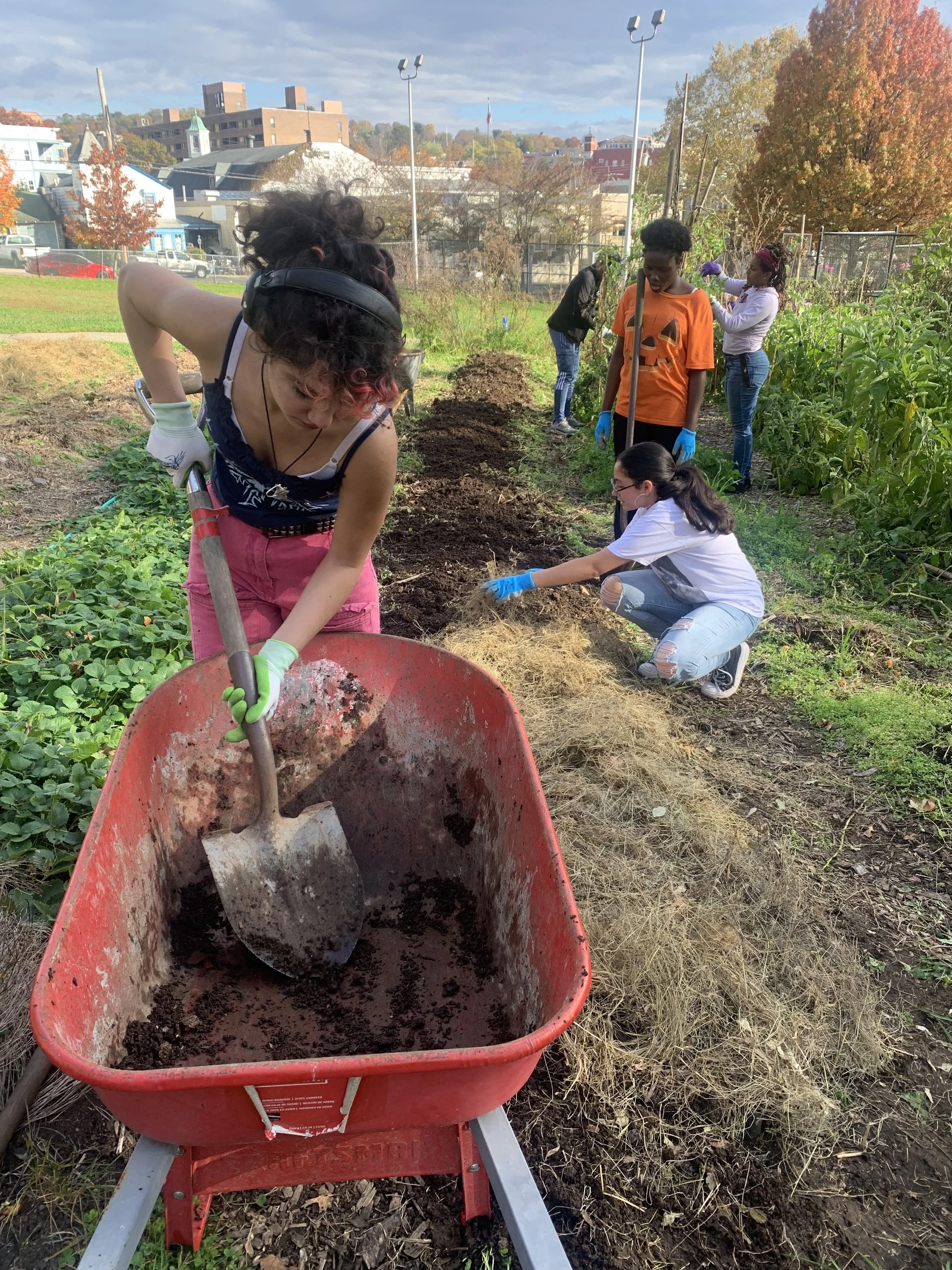 Group of people working in a community garden planting and tending to vegetables, with houses and trees in the background.